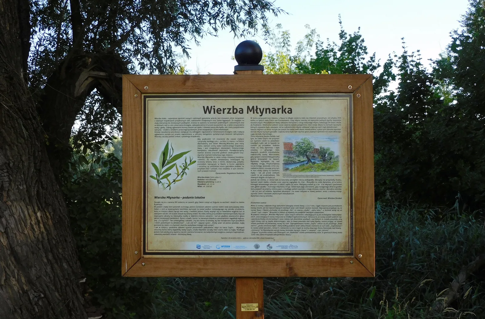 Park na Wyspie Młyńskiej w Iławie