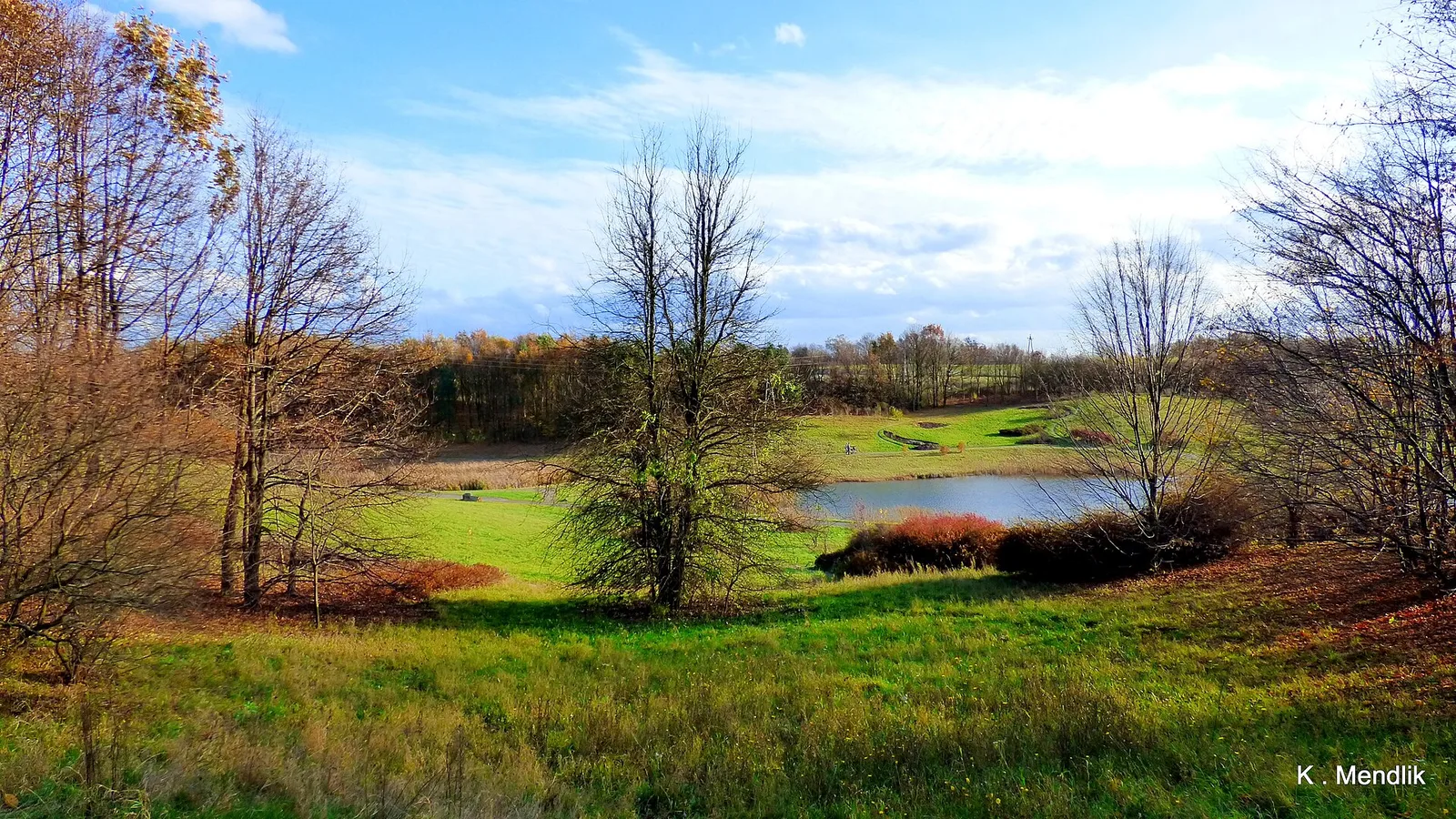 Ogród Botaniczny w Myślęcinku, Bydgoszcz, Polska
