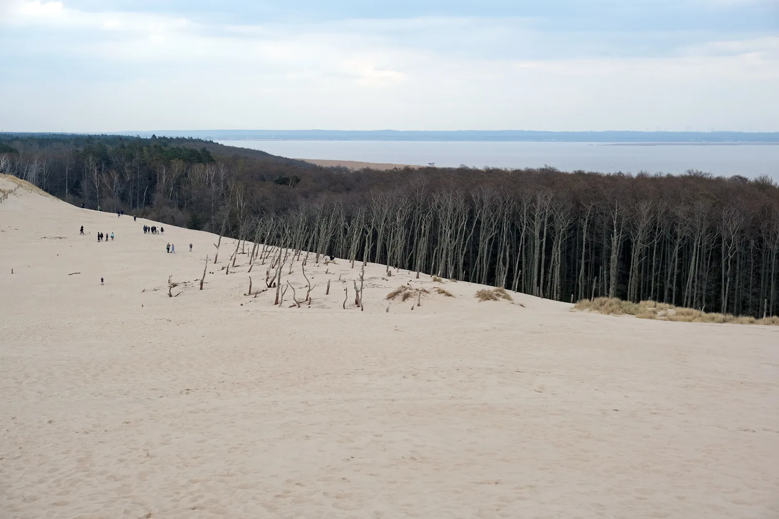 Wydma Łącka, Łeba in Słowiński National Park.