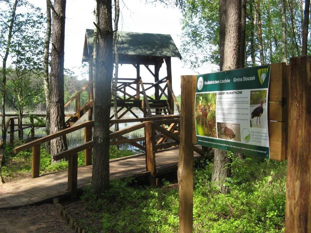 Leśna ścieżka dydaktyczna w Łochowie