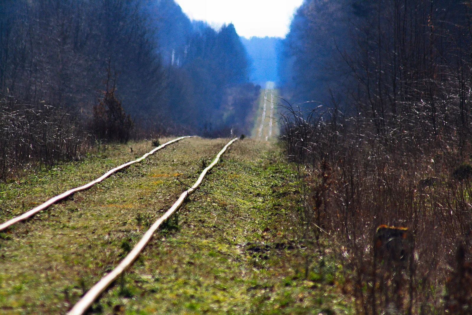 Hajnówka, Poland