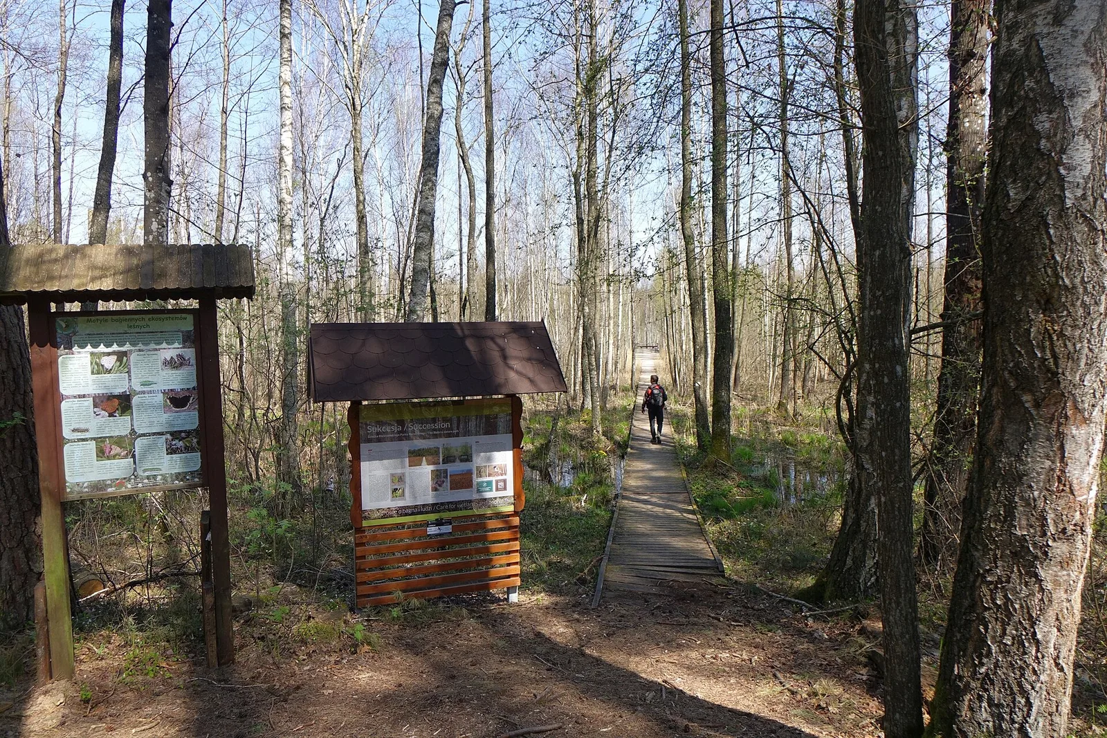 rezerwat przyrody Czerwone Bagno w Biebrzańskim Parku Narodowym