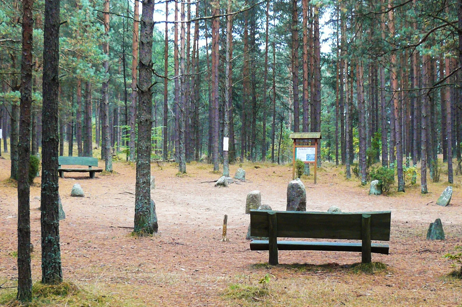 Kręgi kamienne w Węsiorach.