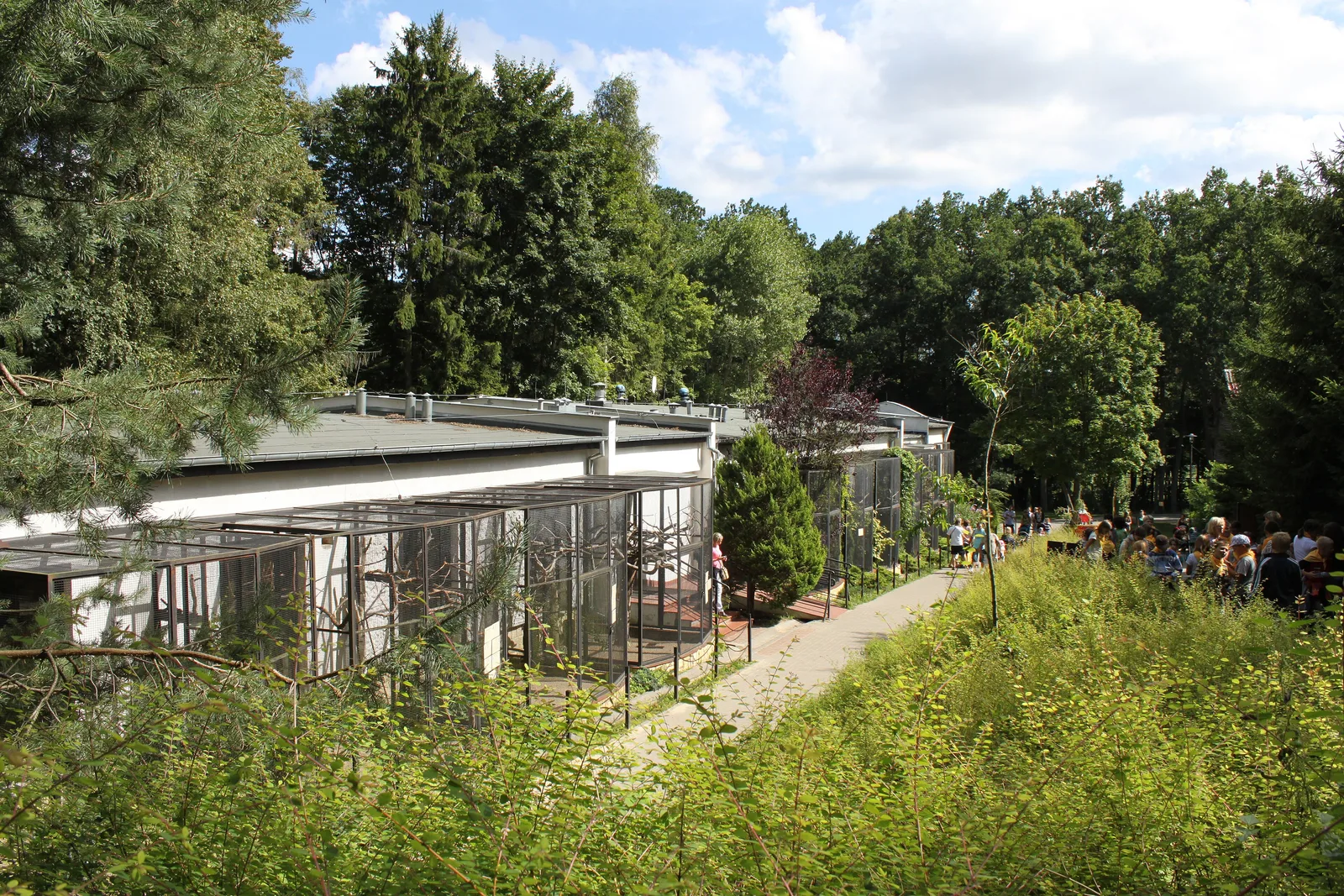 Widok ogólny terenu gdańskiego zoo w dolinie Oliwy