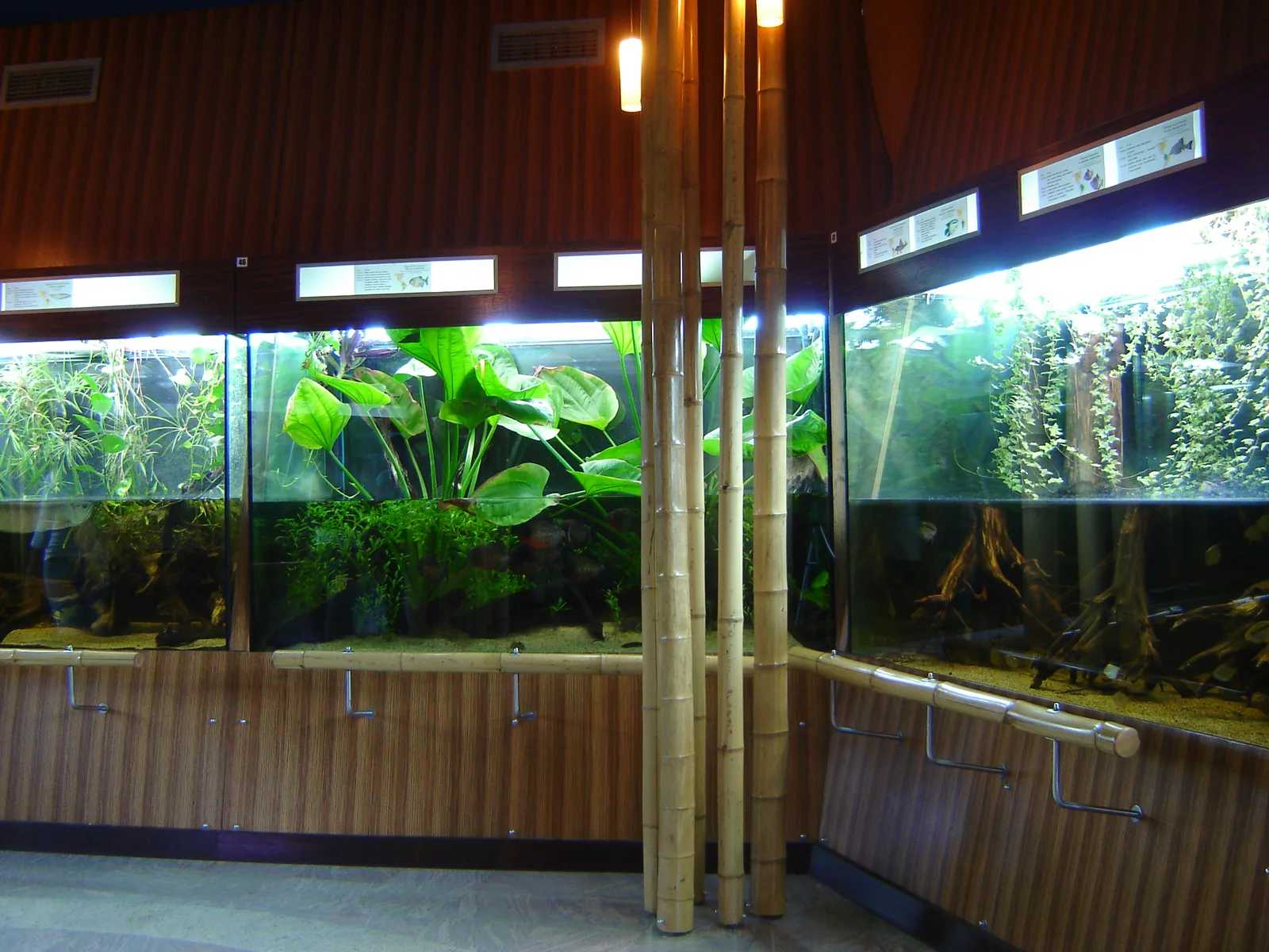 Gdynia Aquarium