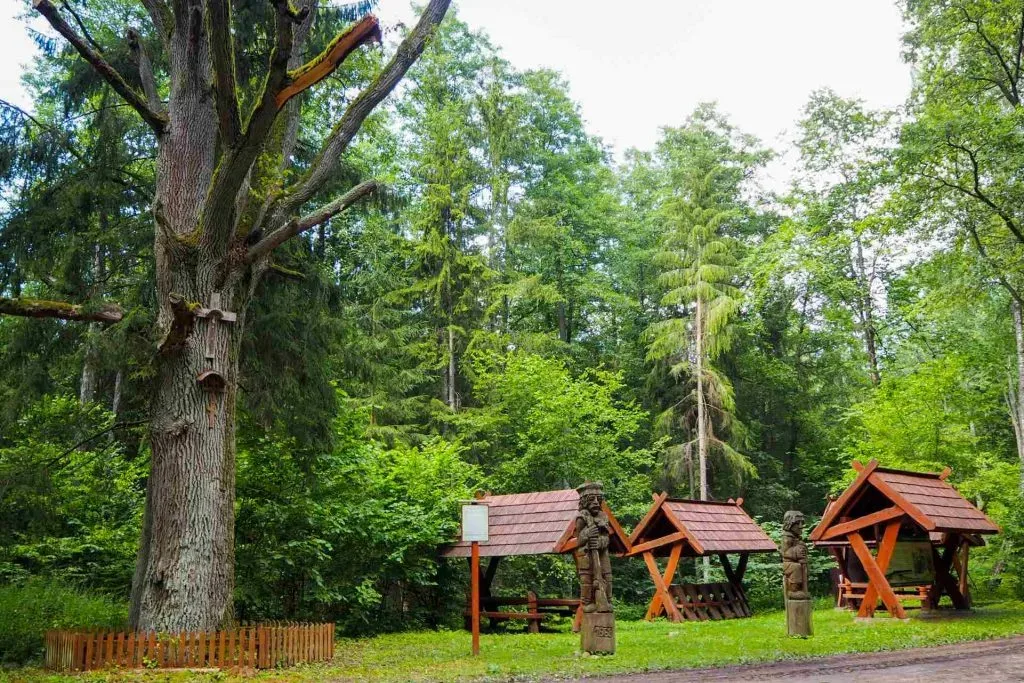 Małe Muzeum Historii Puszczy Knyszyńskiej w Kopnej Górze