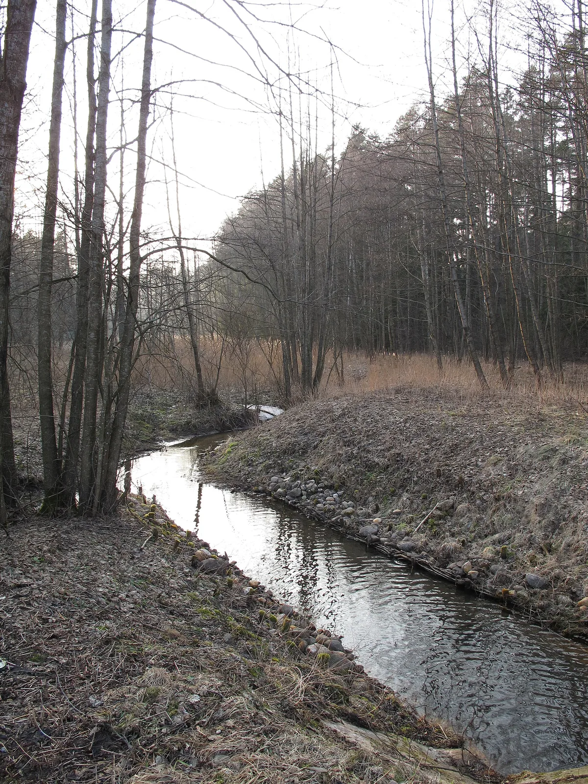 Poczopkówka river at Poczopek Silvarium, gmina Szudziałowo, podlaskie, Poland