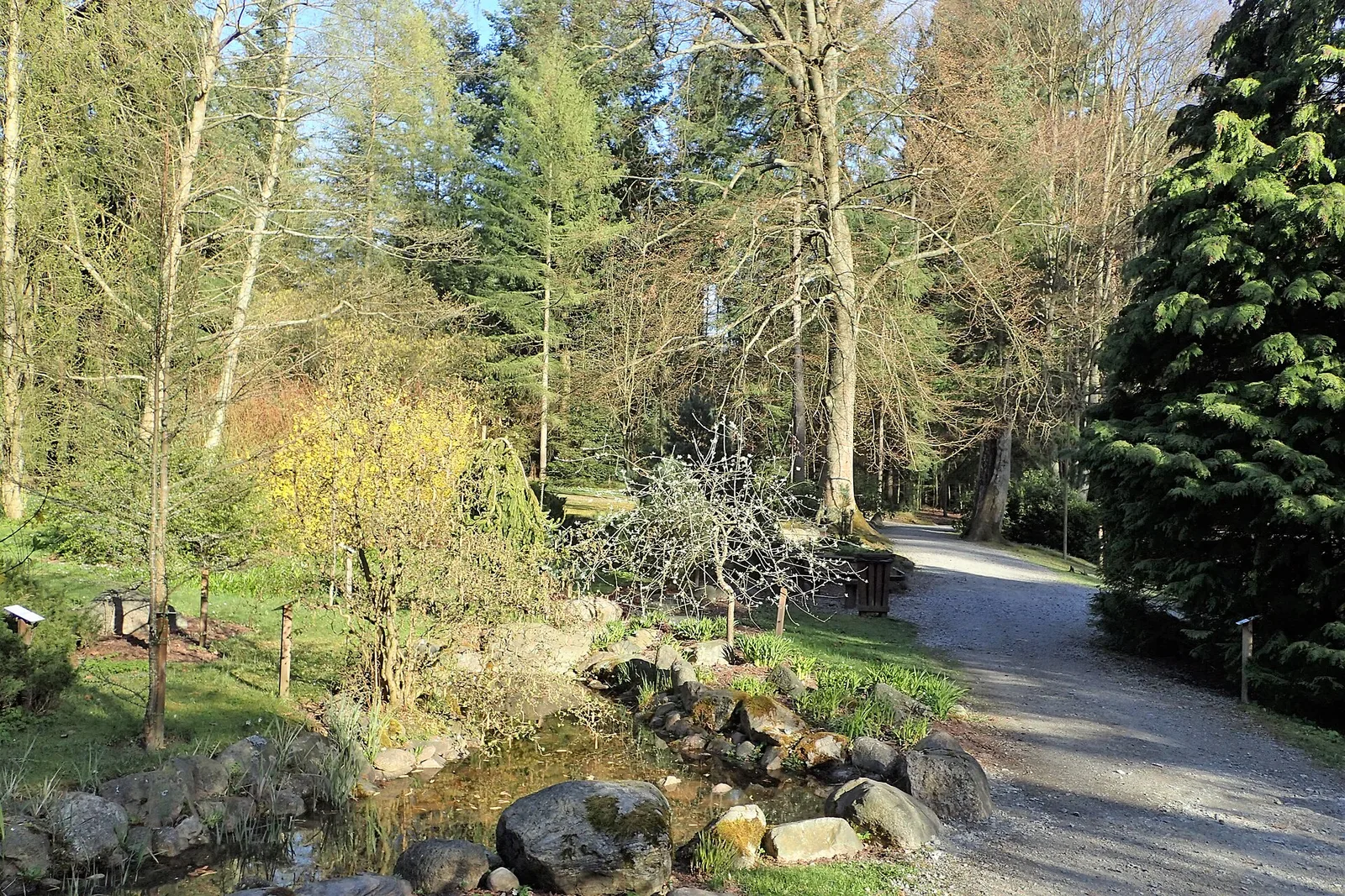 Arboretum Wirty