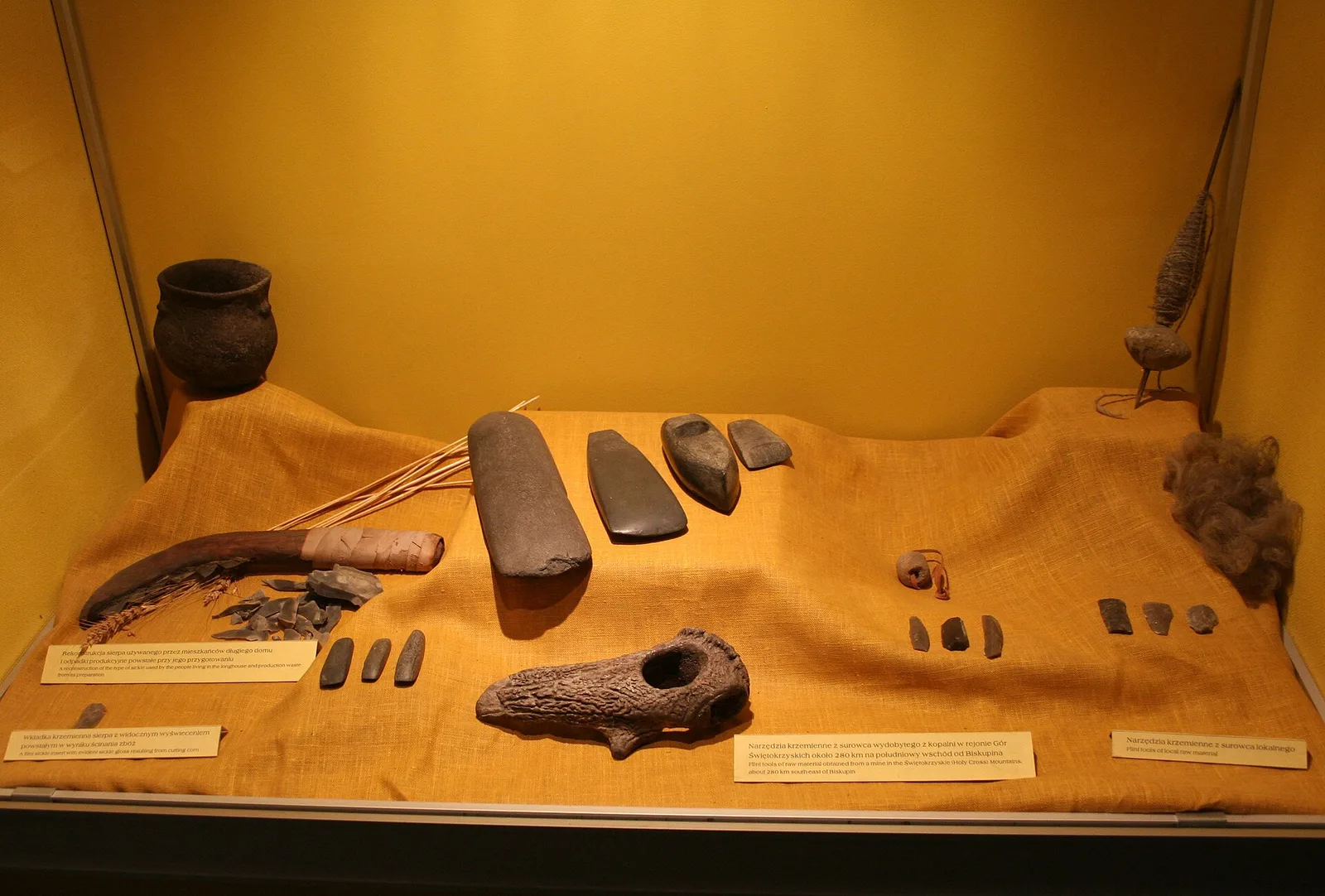 Biskupin museum