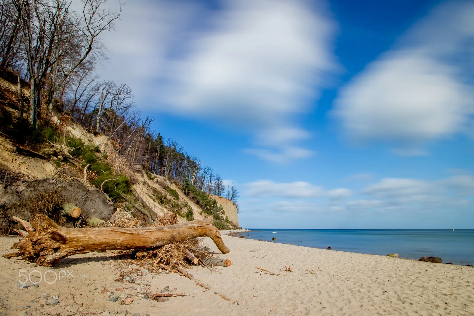 Gdynia Orłowo, klif