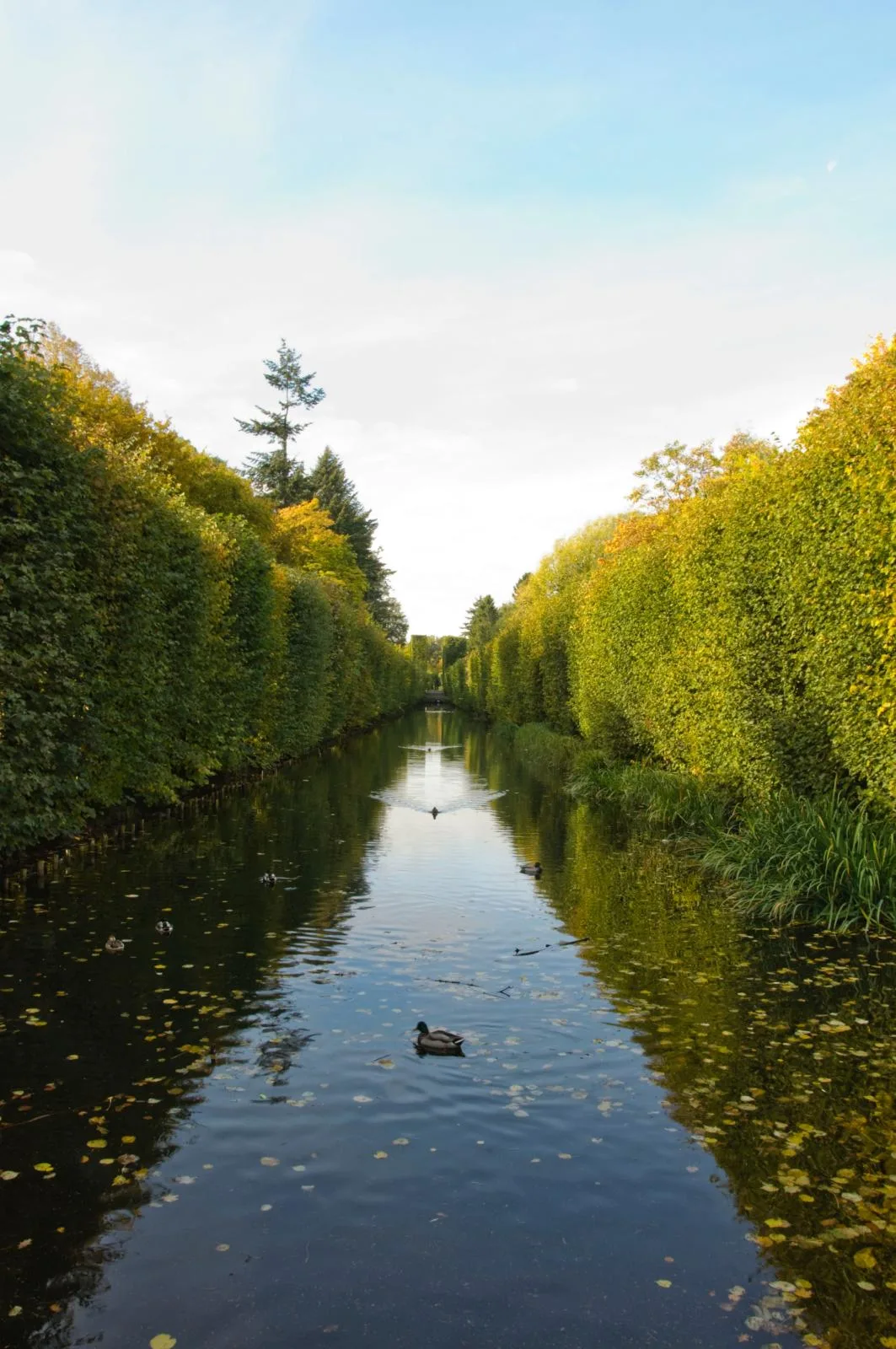 Adam Mickiewicz Park in Gdańsk-Oliwa.