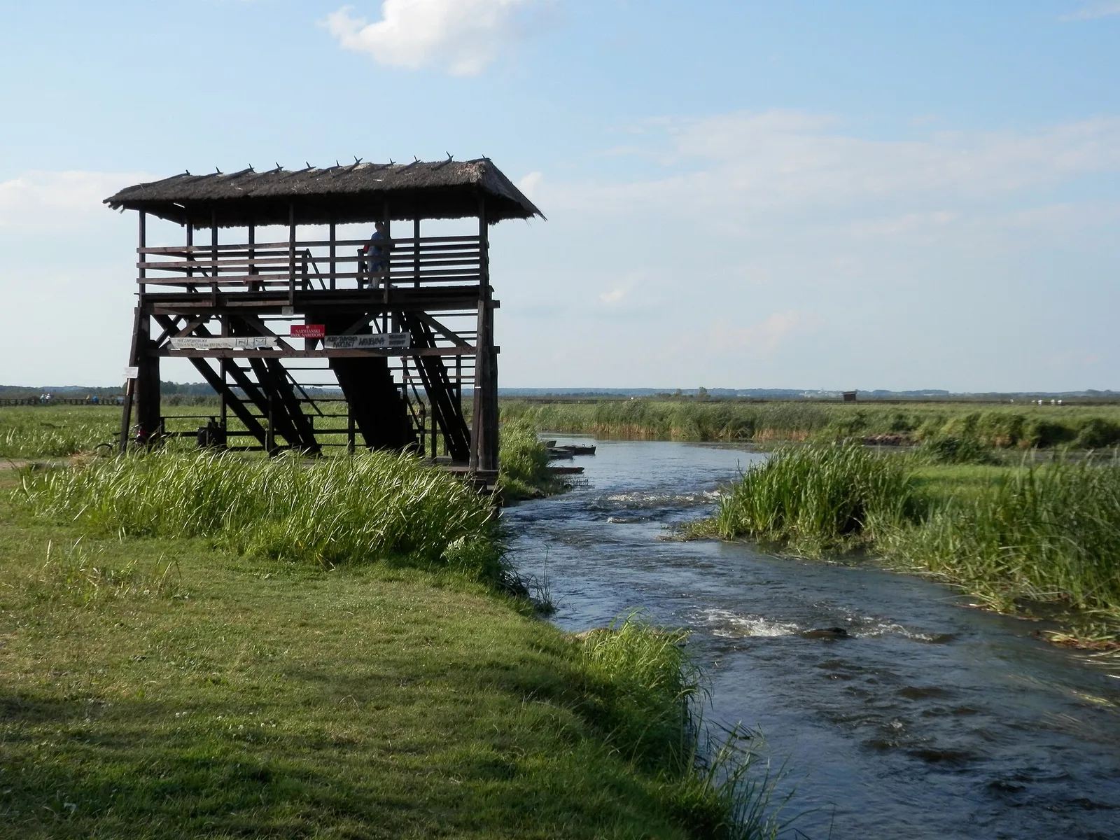 Narew river in Waniewo, Poland