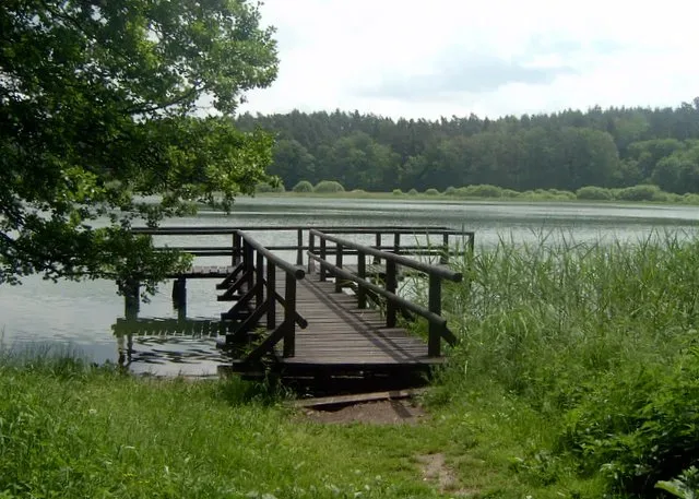 Ścieżka edukacyjna „Nad Jeziorem Lidzbarskim”, Nadleśnictwo Lidzbark