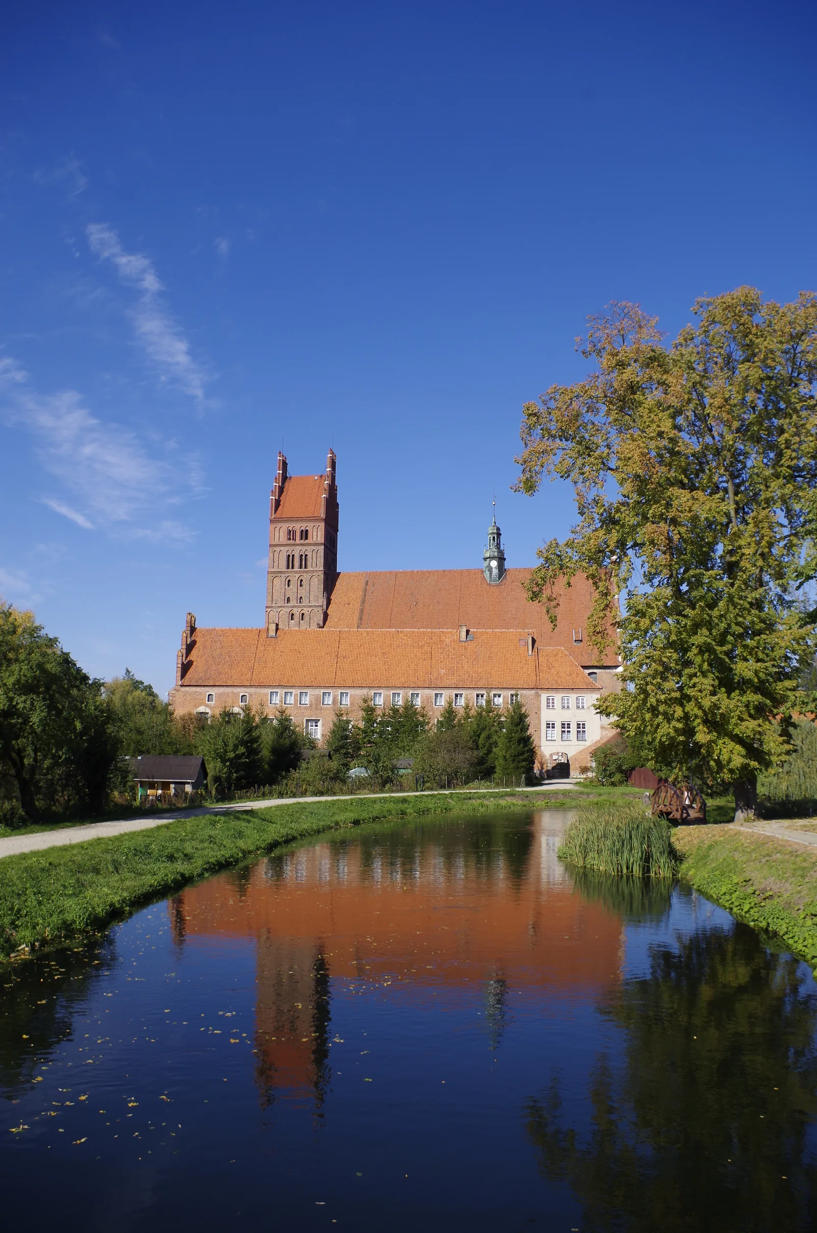 Dobre Miasto, Bazylika Najświętszego Zbawiciela i Wszystkich Świętych w Dobrym Mieście