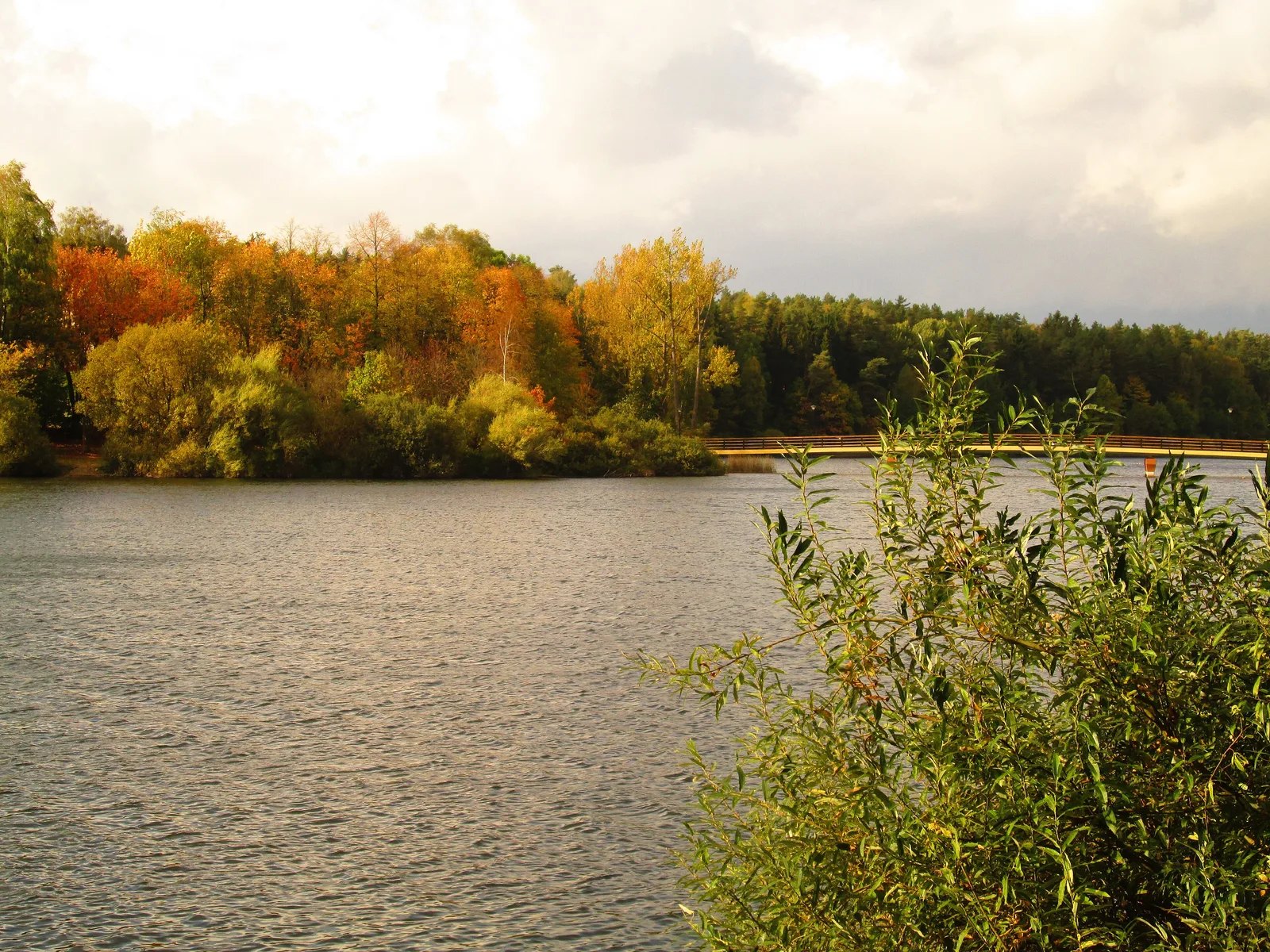 The Long Like in Olsztyn (9.X.2012)