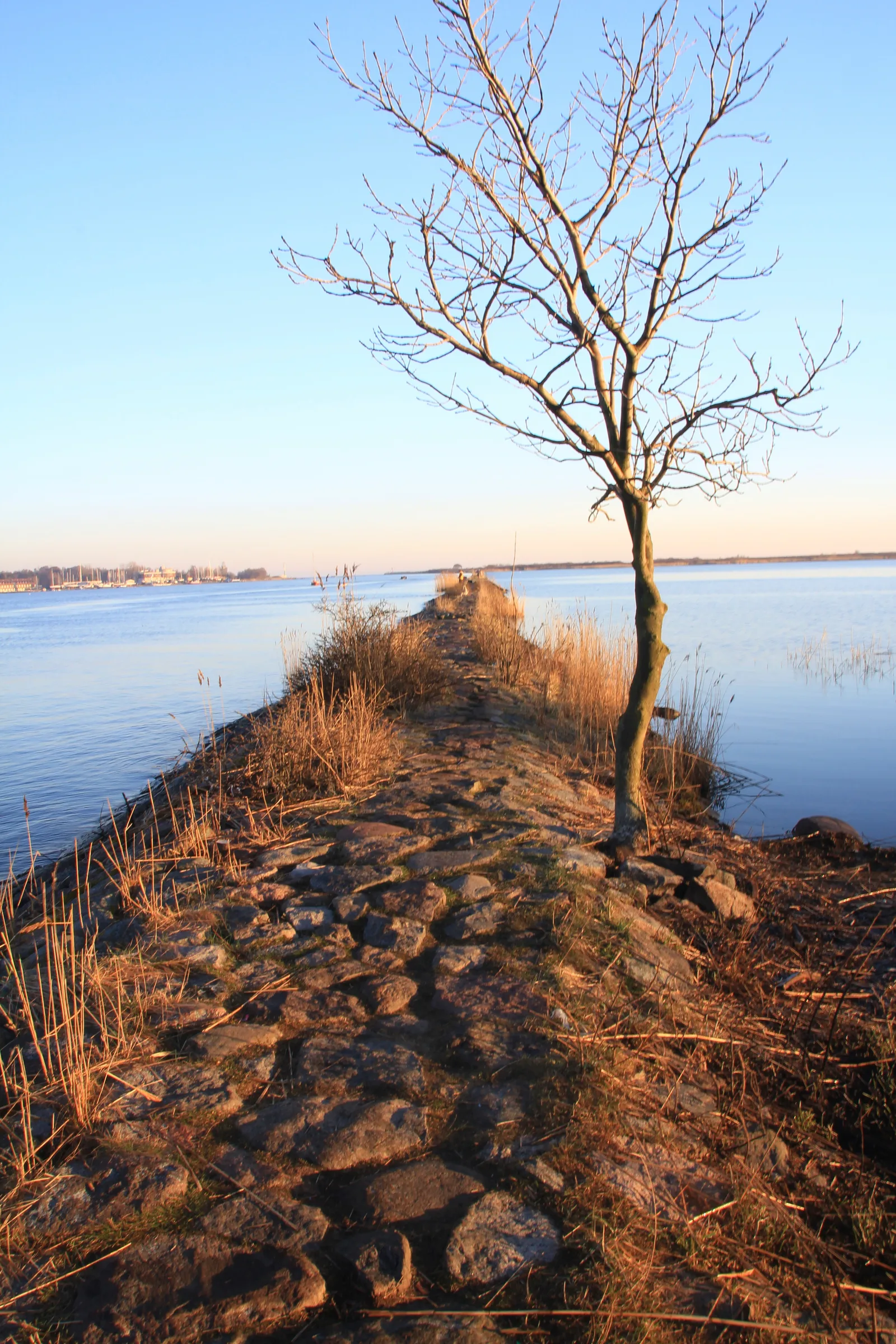 This is a photography of protected area with CRFOP ID