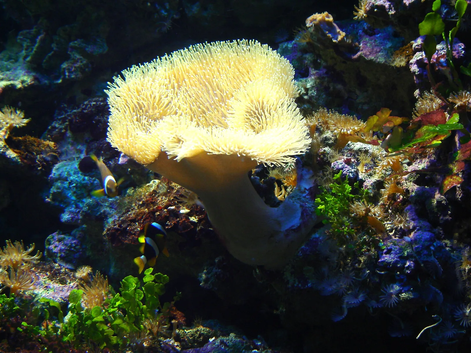 Gdynia Aquarium