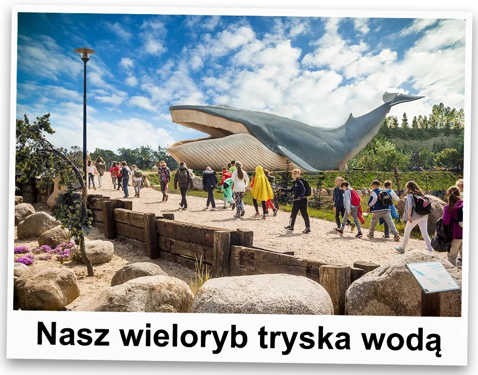 Ocean Park Władysławowo
