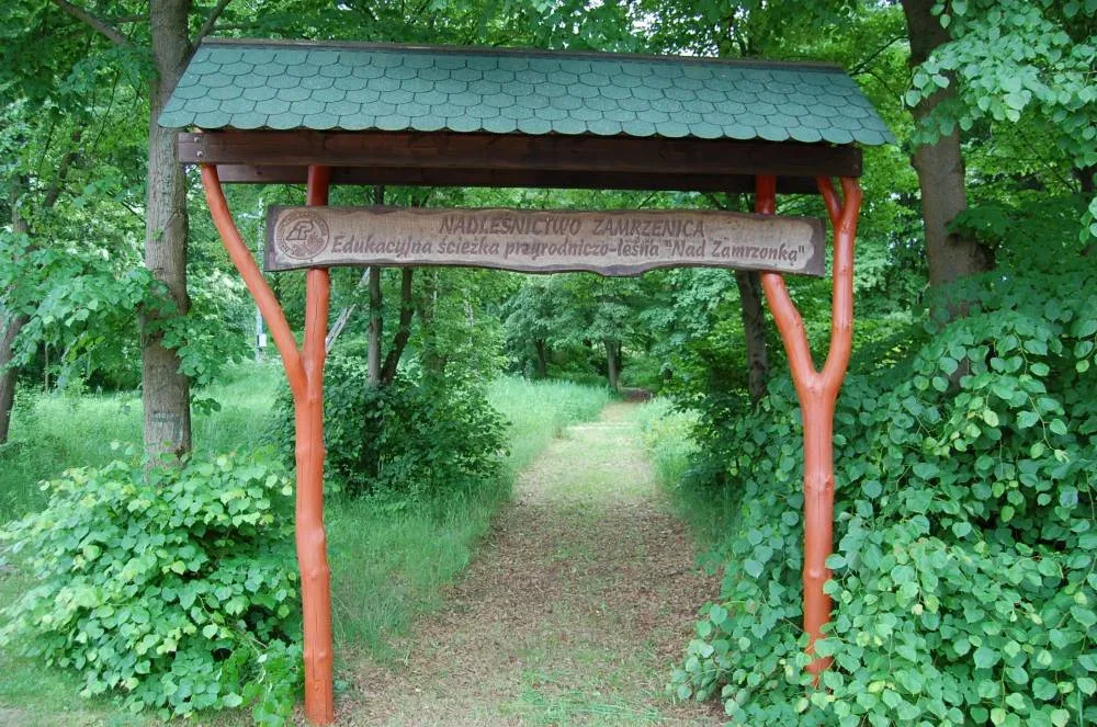 Ścieżka przyrodniczo-leśna „Nad Zamrzonką”