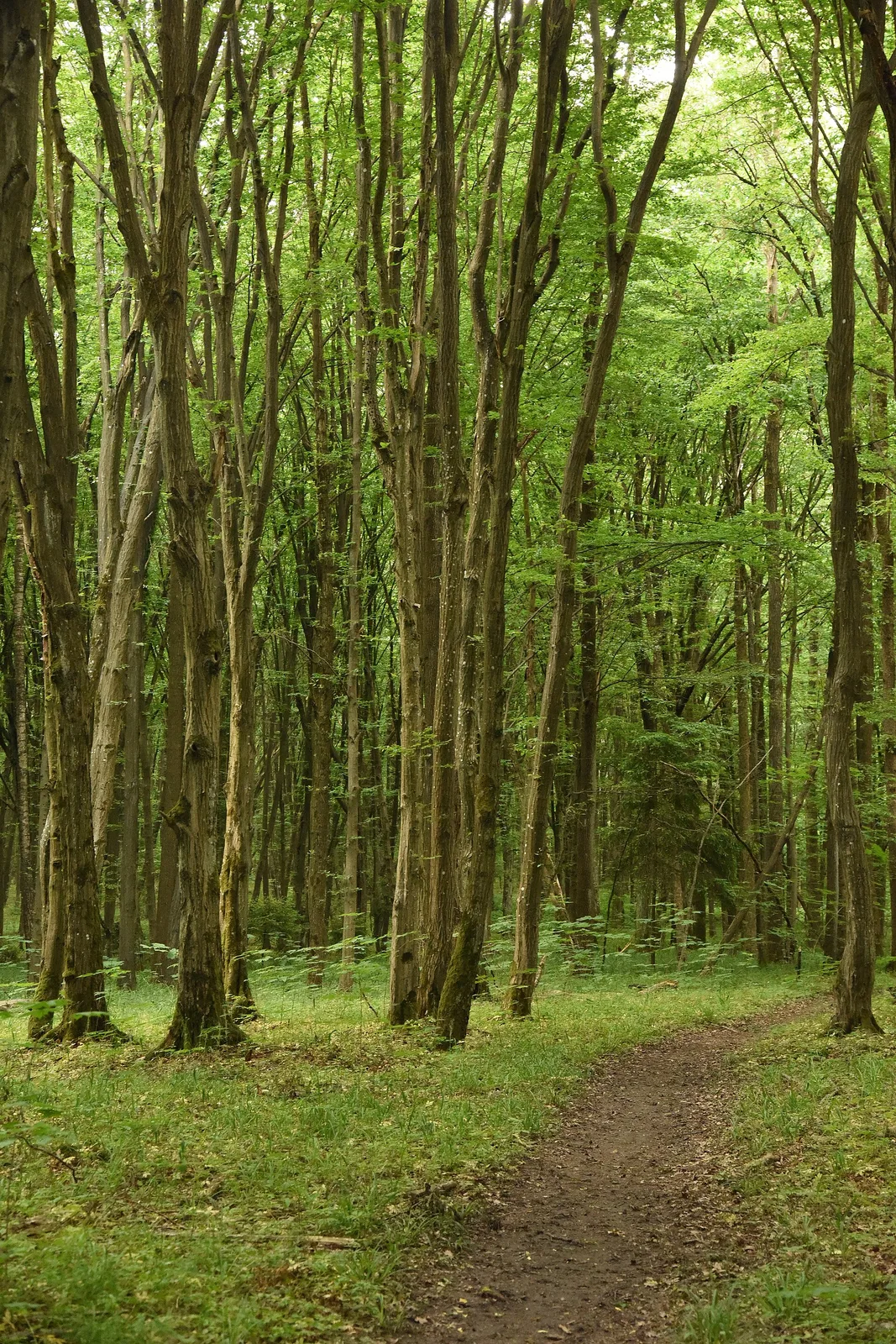 June 2022 in Białystok
