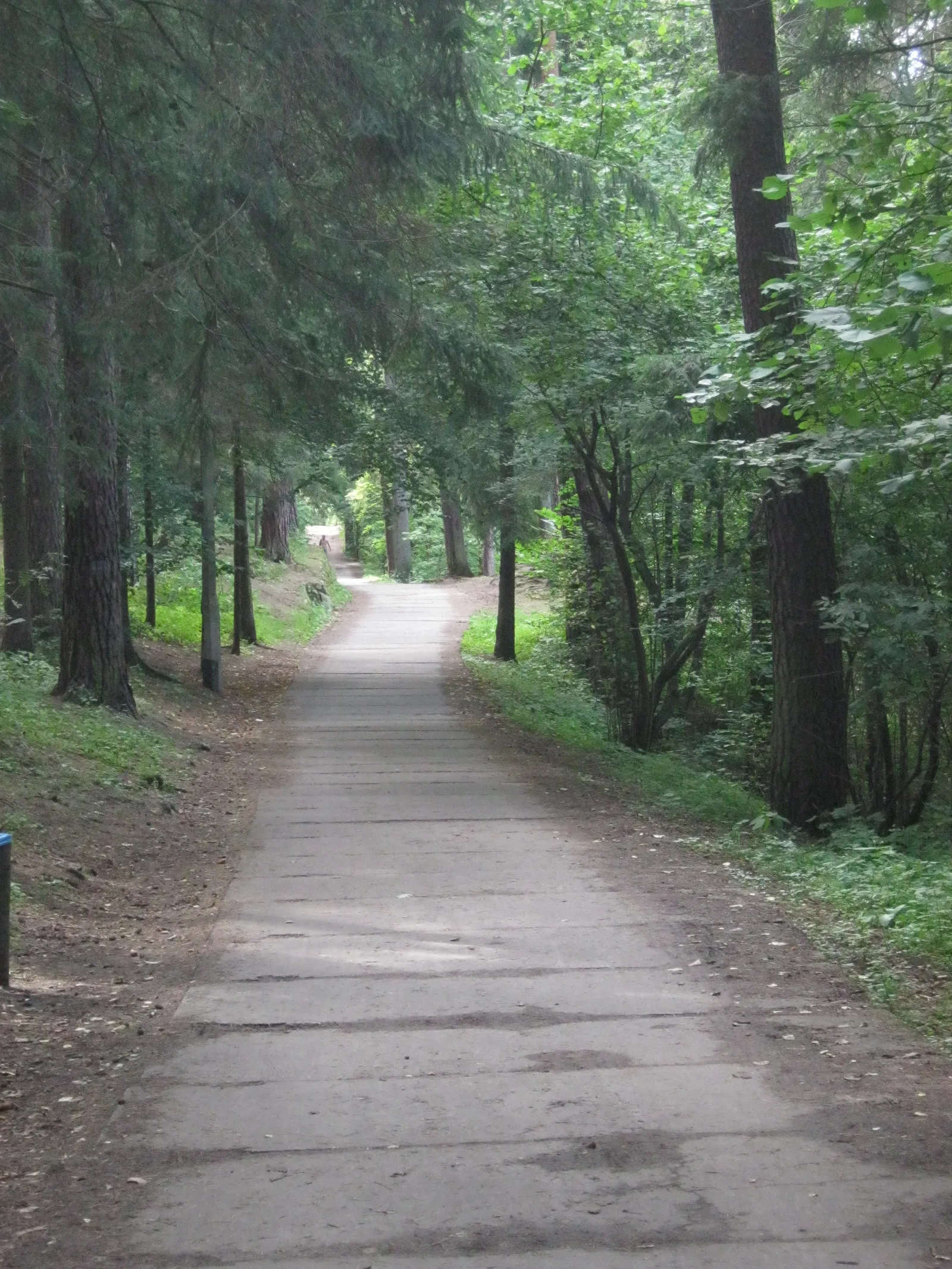 The City Forest in Olsztyn (28.VIII.2012)