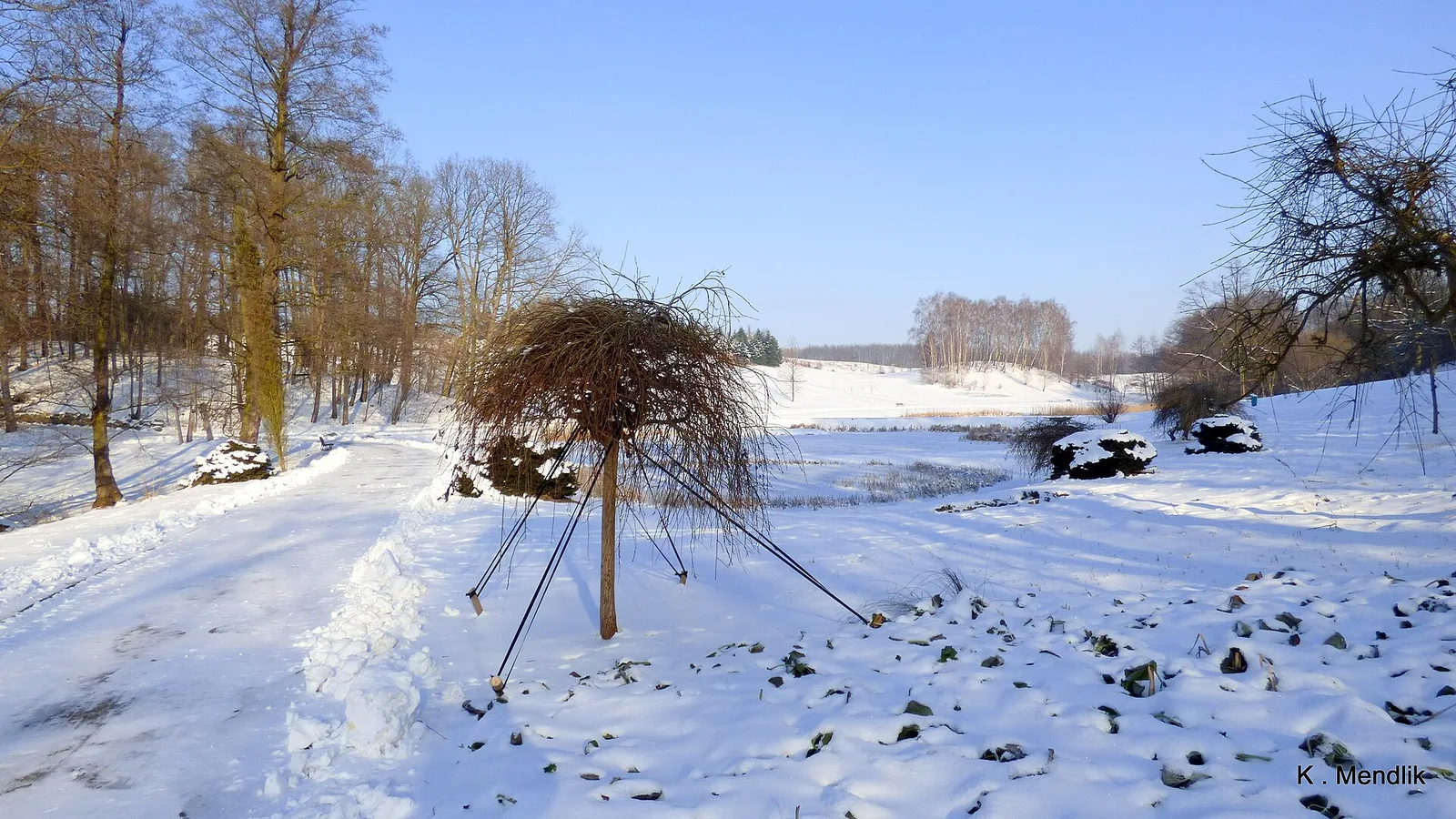 Ogród Botaniczny w Myślęcinku, Bydgoszcz, Polska