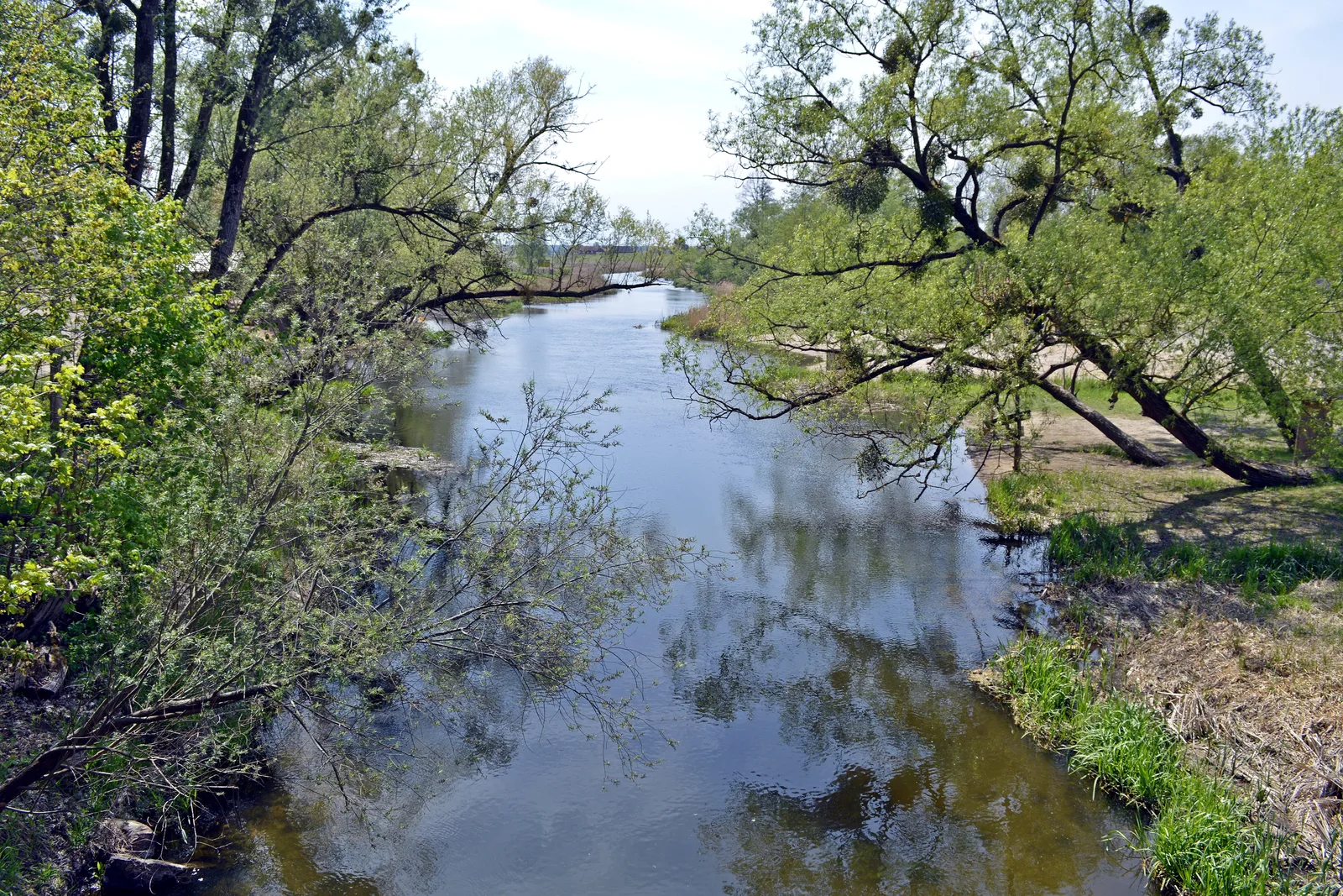 The Krutynia river seen from the bridge in Ukta, upstream.