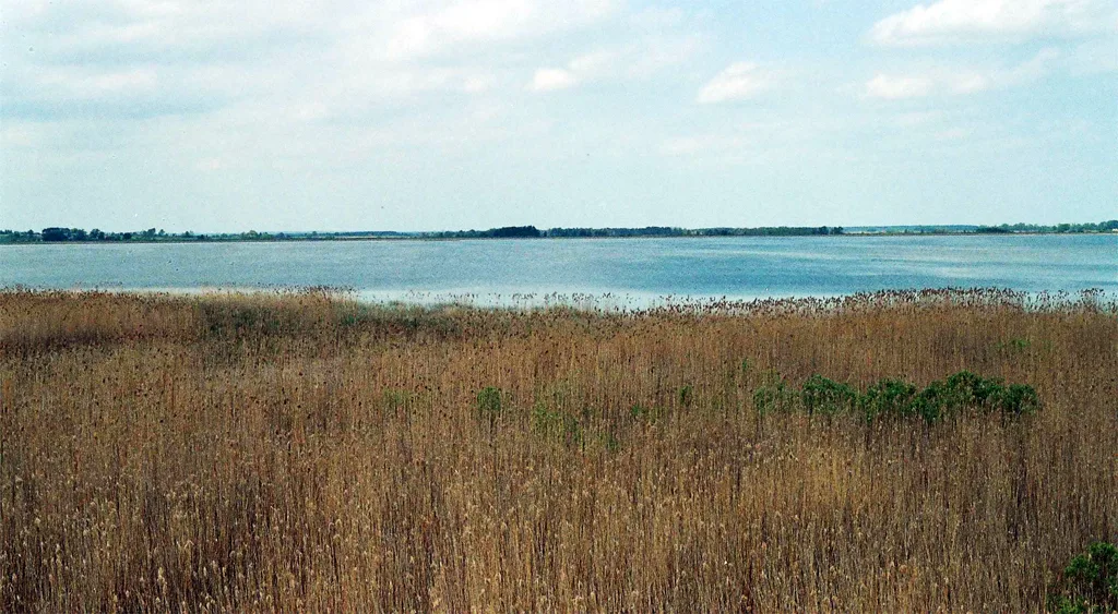 Widok na jezioro Łuknajno na Mazurach
