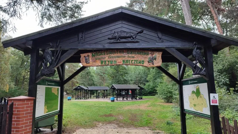Ścieżka przyrodniczo–leśna Rejna-Balczewo oraz Zielona Klasa