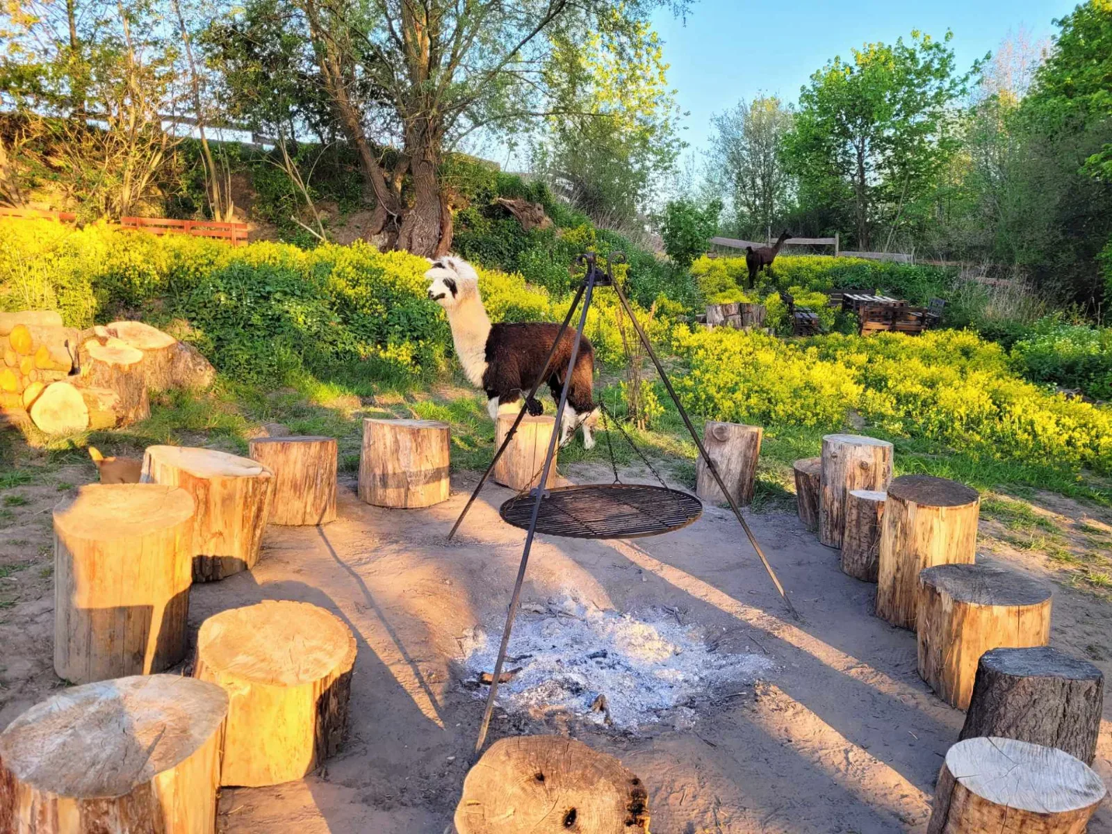 Zwierzaki Nad Potokiem Mini ZOO Żukczyn