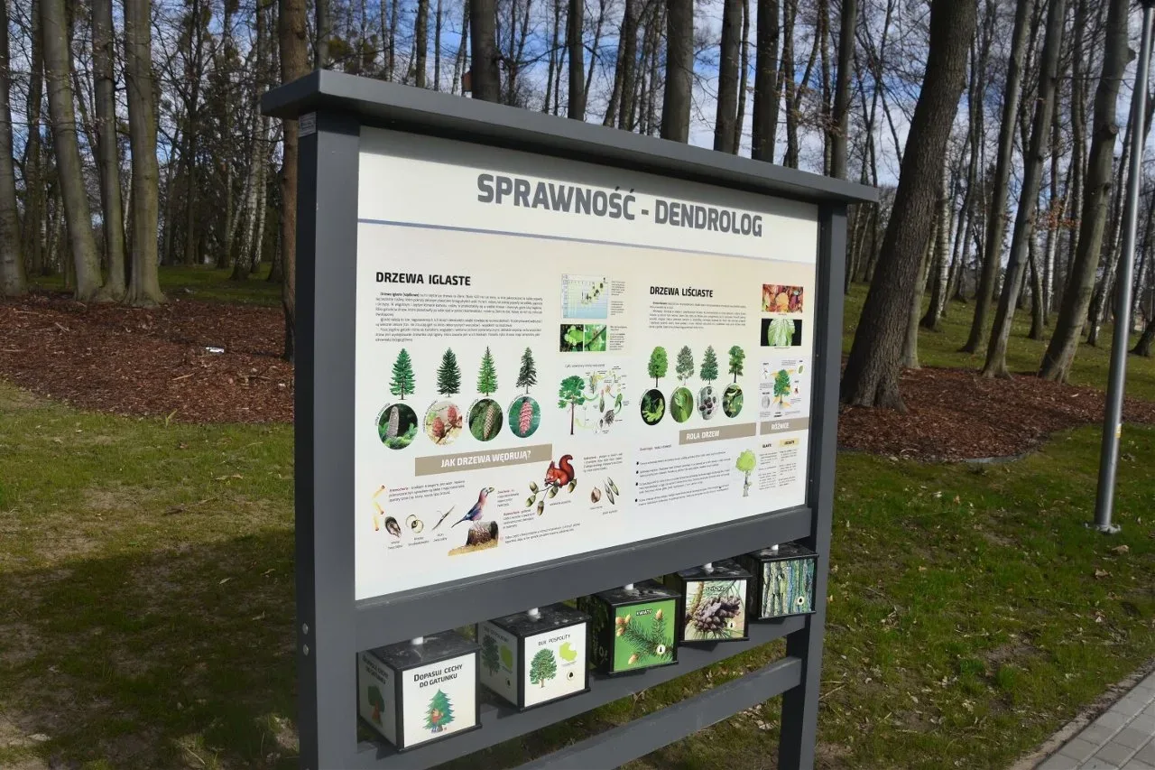 Park Miejski przy ul. E. Orzeszkowej w Rypinie