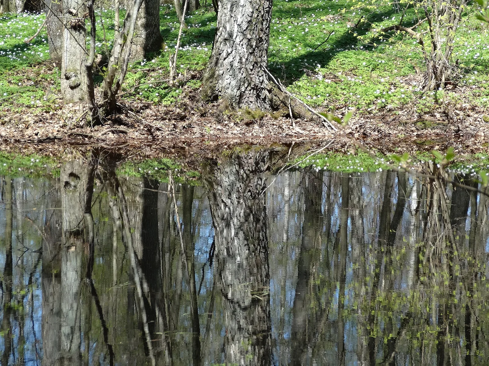 Elbląg, Park Krajobrazowy Wysoczyzny Elbląskiej