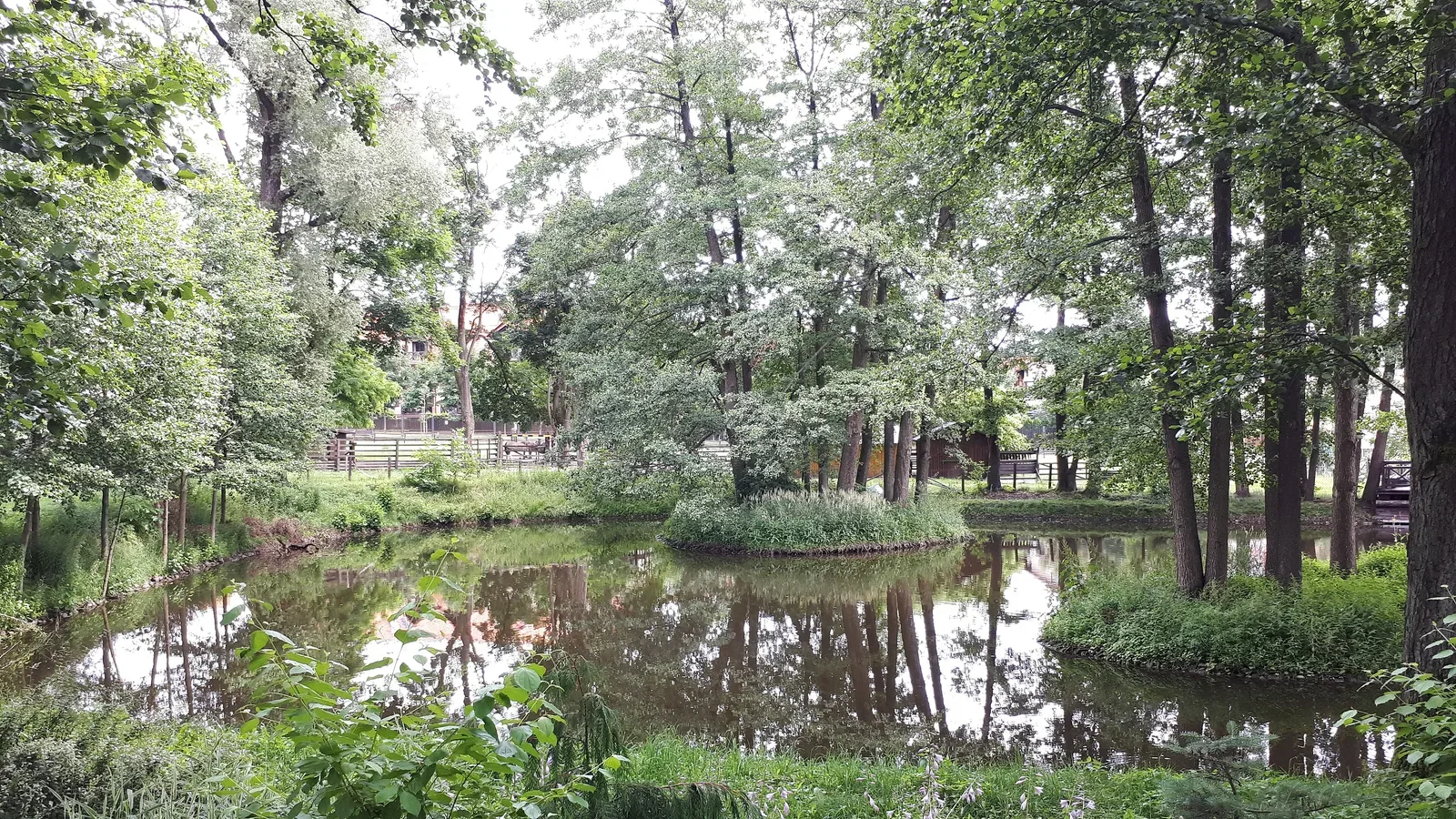 Akcent Zoo in Białystok