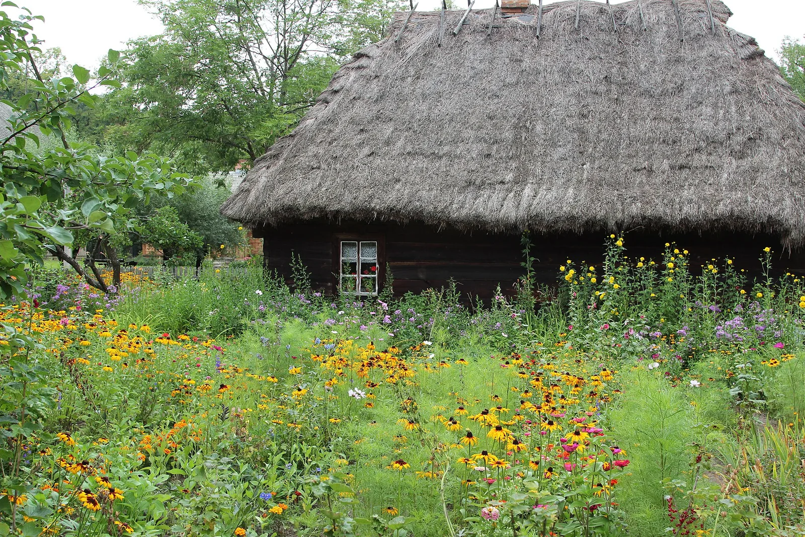 Museum of Agriculture in Ciechanowiec