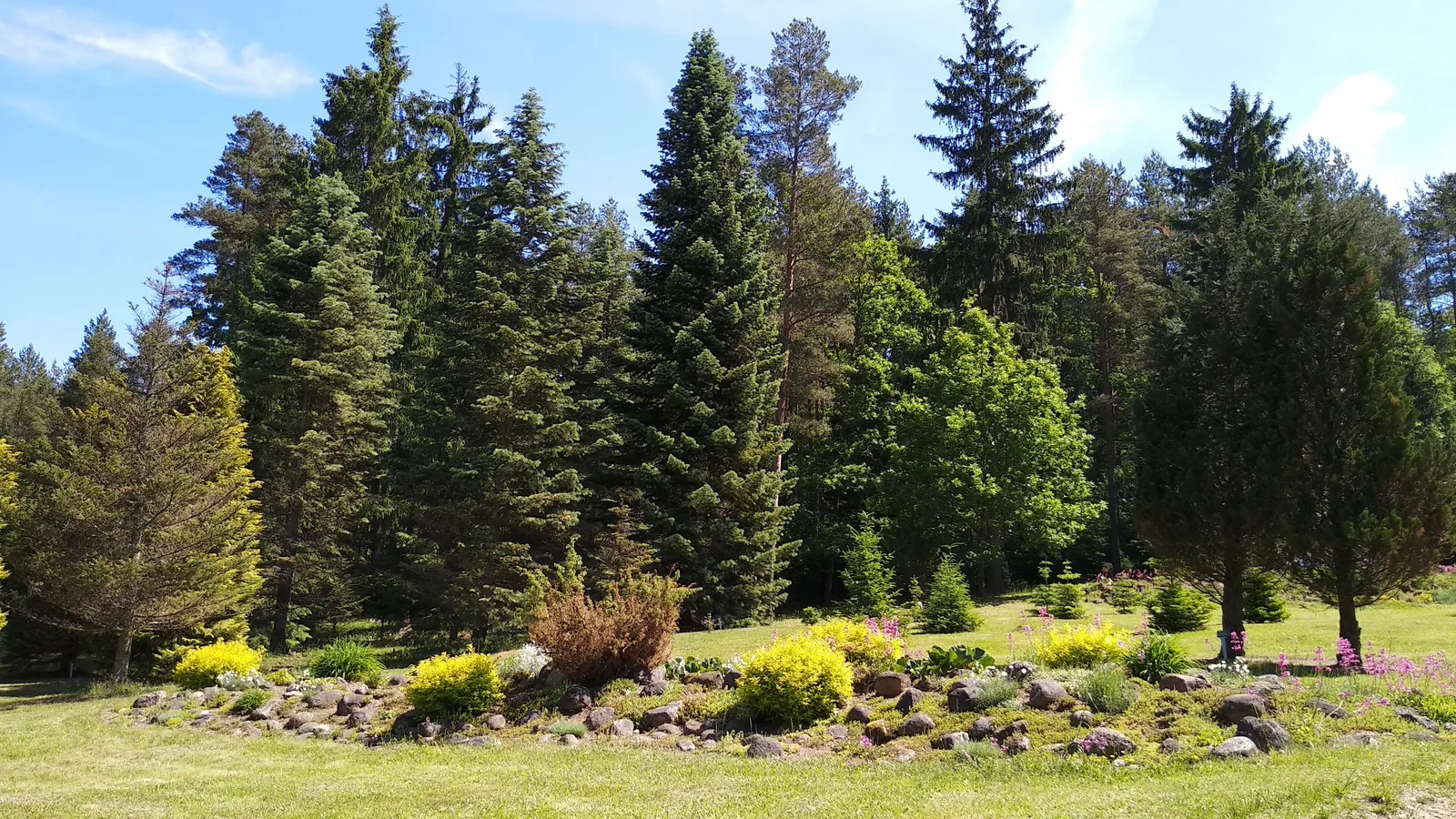 Arboretum w Kopnej Górze.