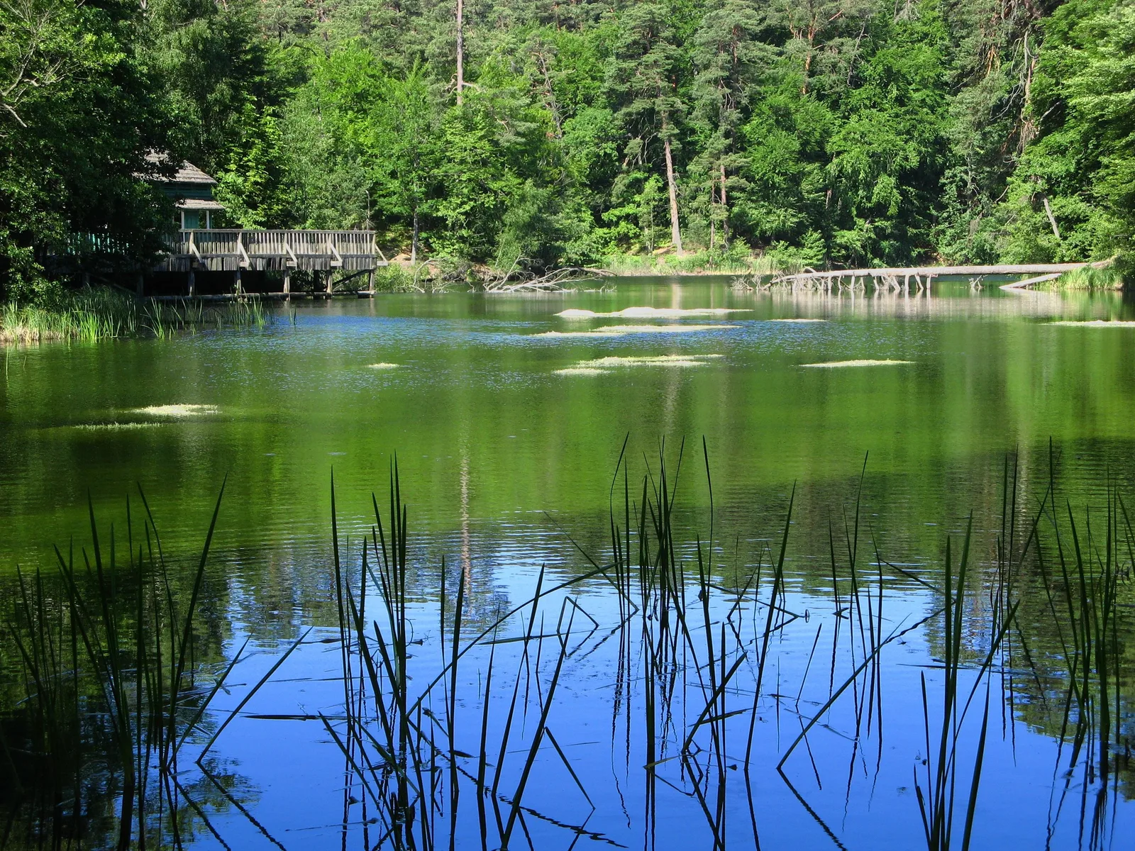 Jezioro Gardno