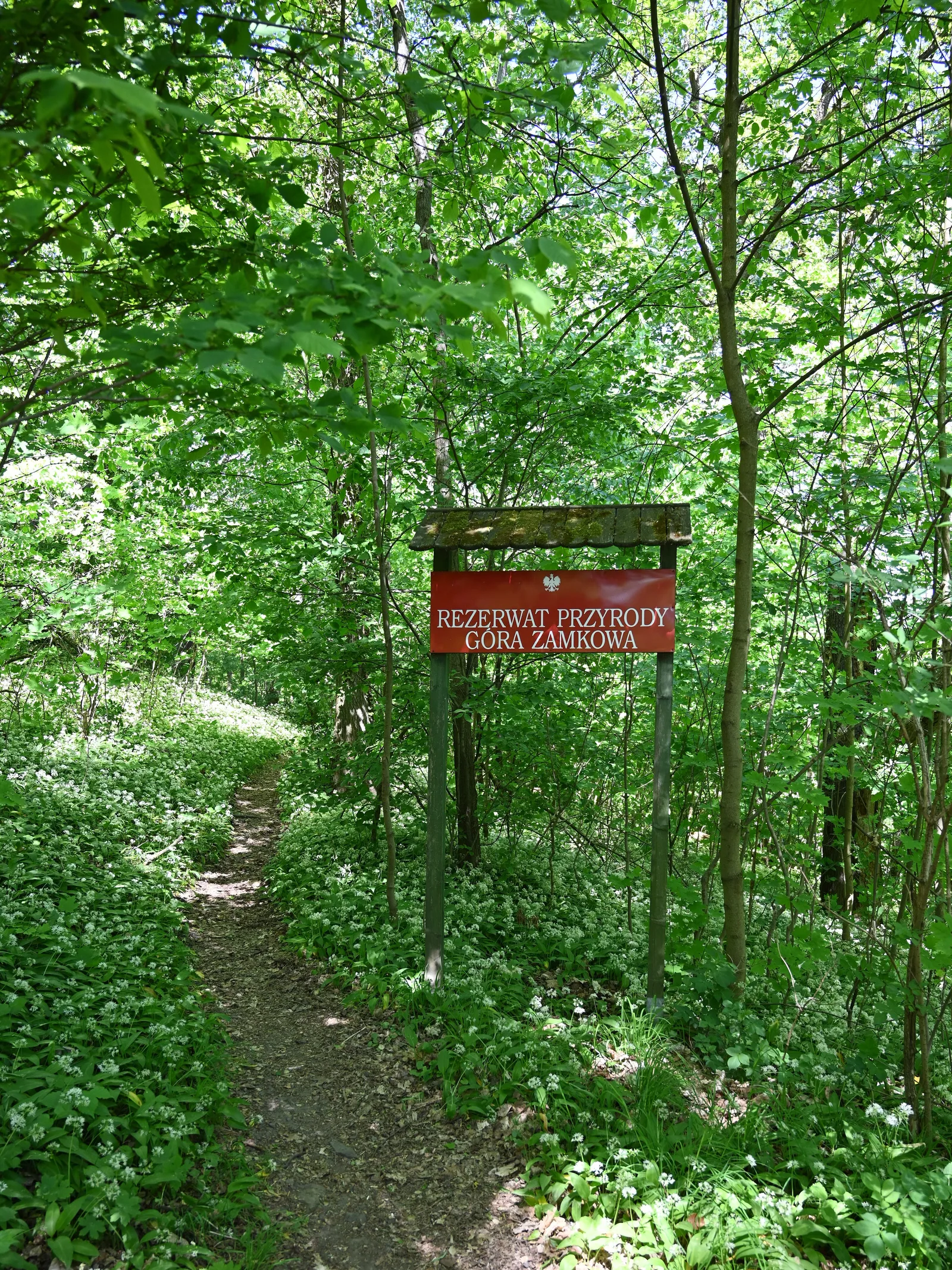 Nature reserve Góra Zamkowa in Wleń, Lower Silesia Voivodeship, Poland.