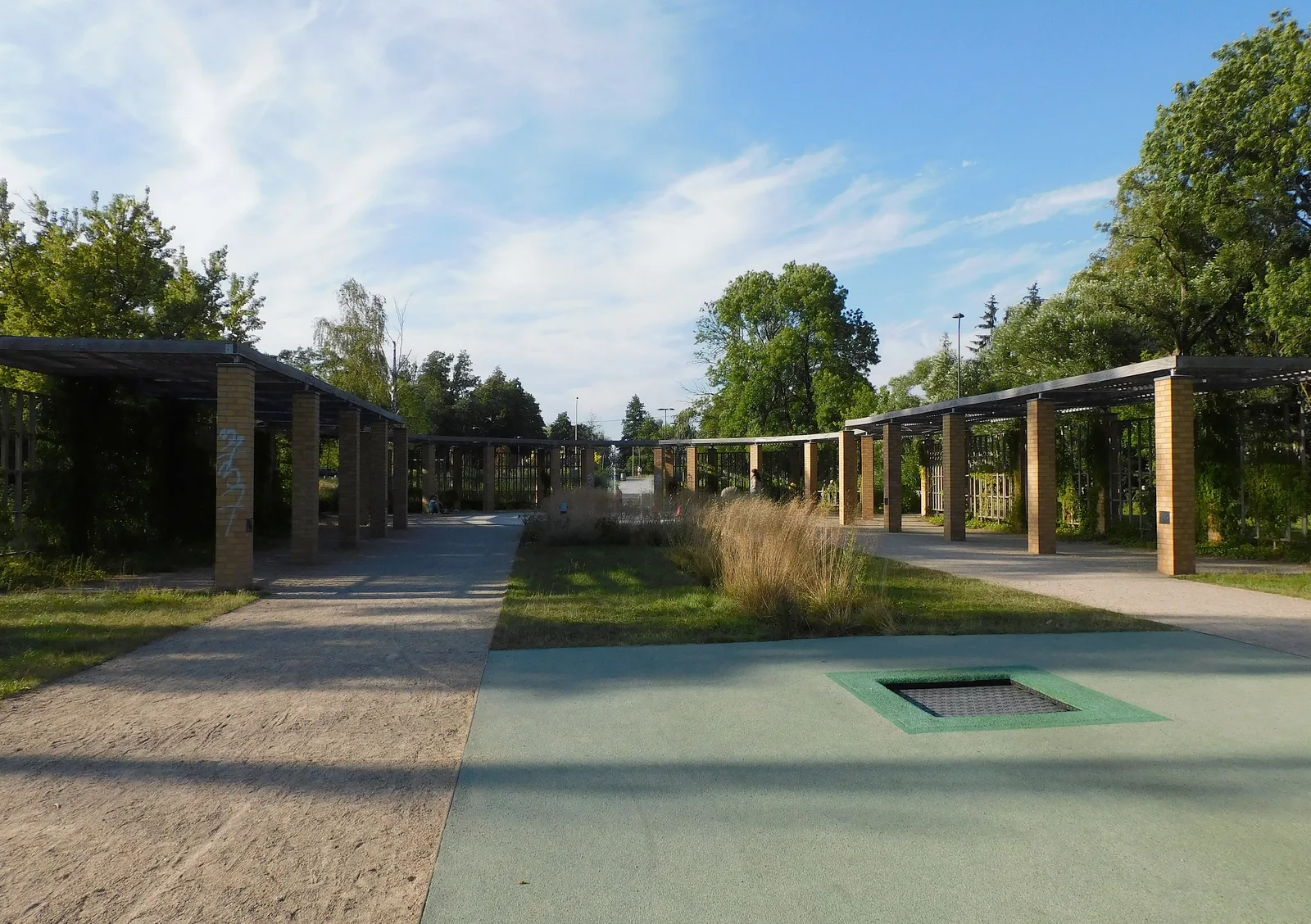 Park na Wyspie Młyńskiej w Iławie