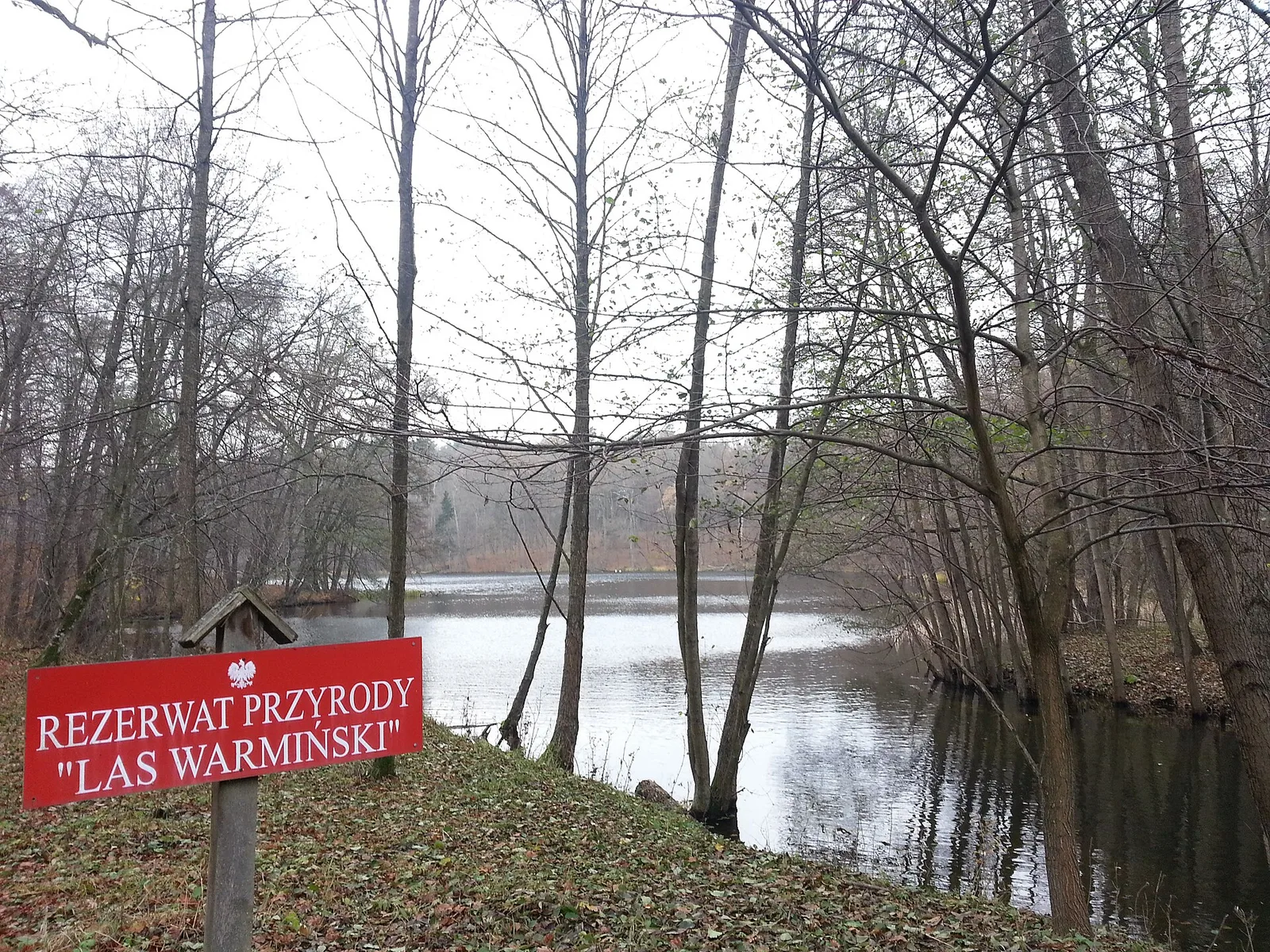 Rezerwat przyrody Las Warmiński jesienią, widok od strony śluzy na rzece Łynie.