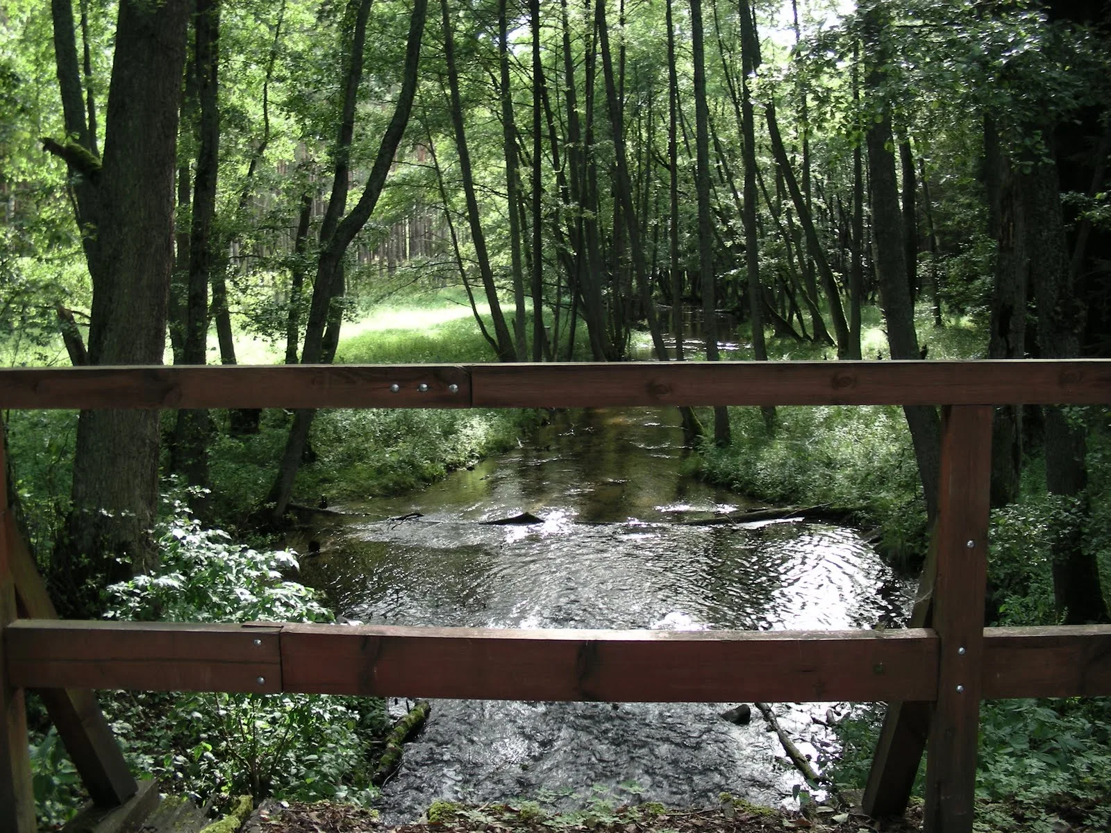 Park Narodowy Bory Tucholskie - Stara Piła