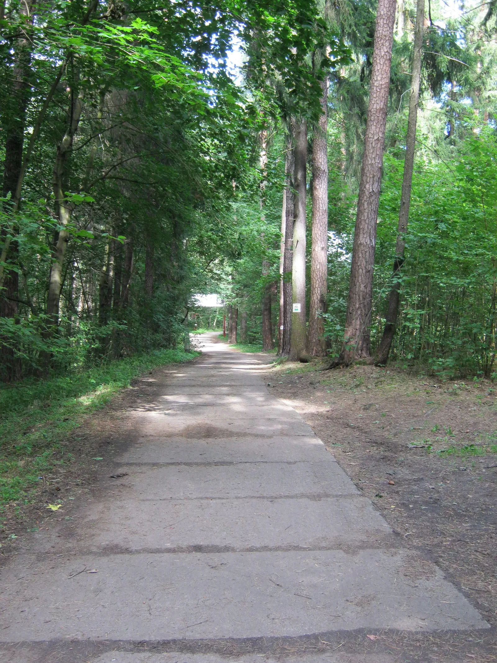 The City Forest in Olsztyn