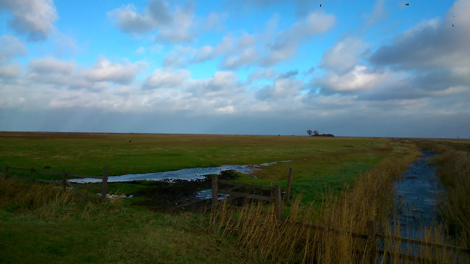 Nature Reserve "Beka" on shore of Bay of Puck, Poland
