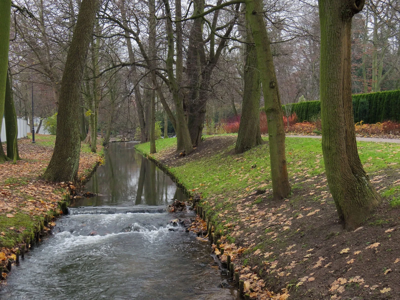 Adam Mickiewicz Park in Gdańsk-Oliwa