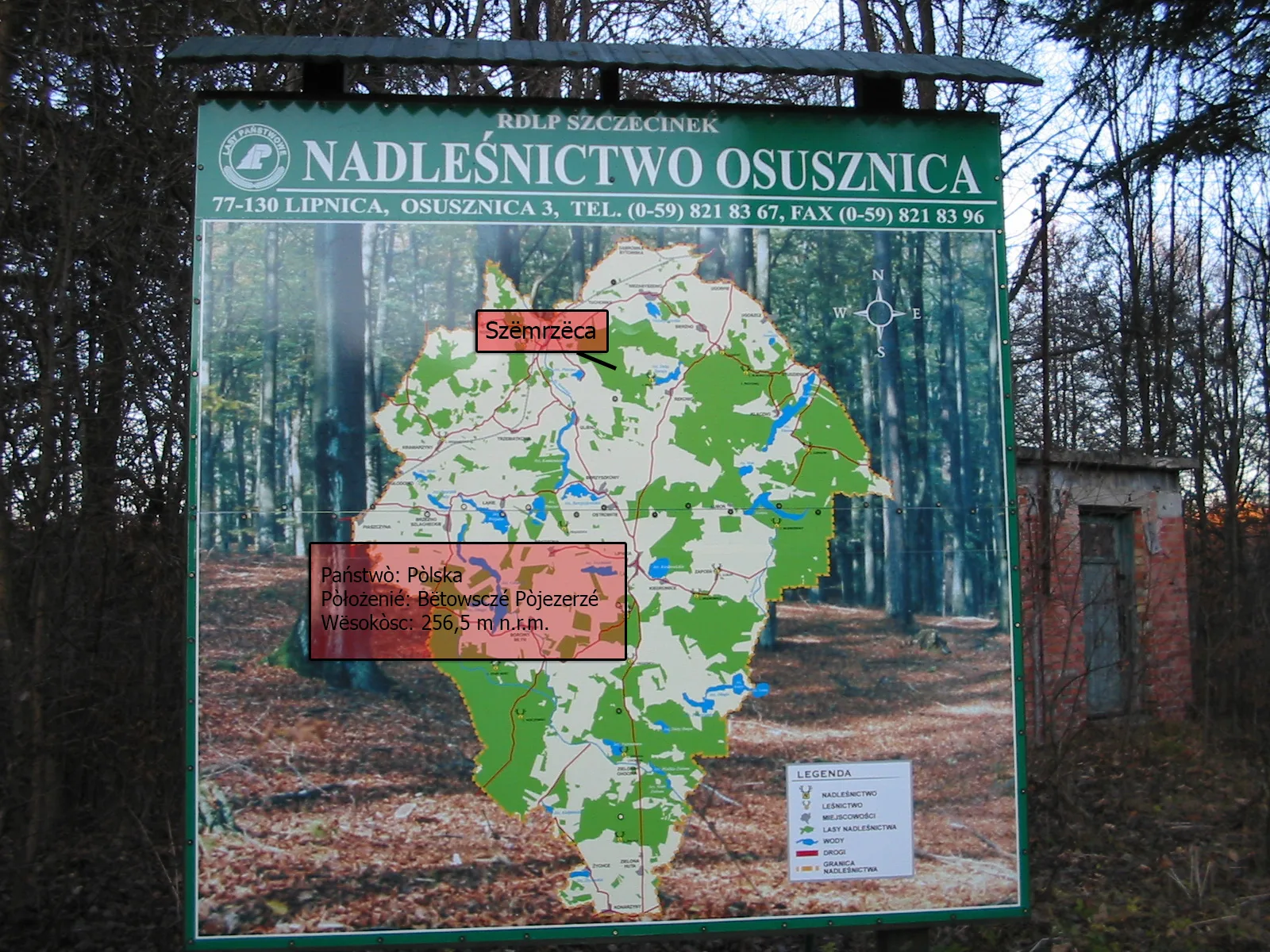 Zalesione zbocze Góry Siemierzyckiej koło Płotowa