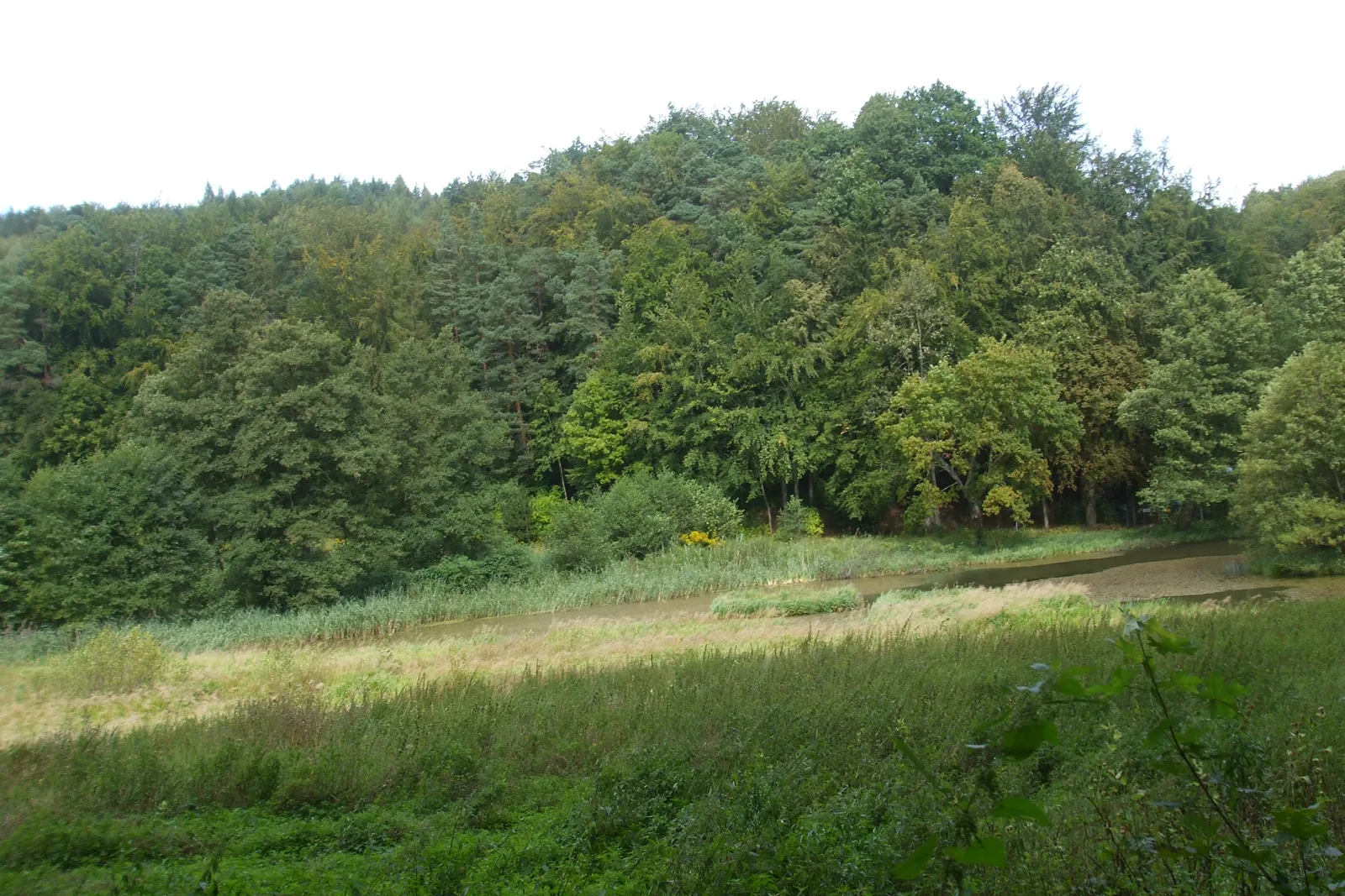 Dolina Radości