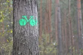 Ścieżka rowerowa „Flora i fauna naszego lasu”