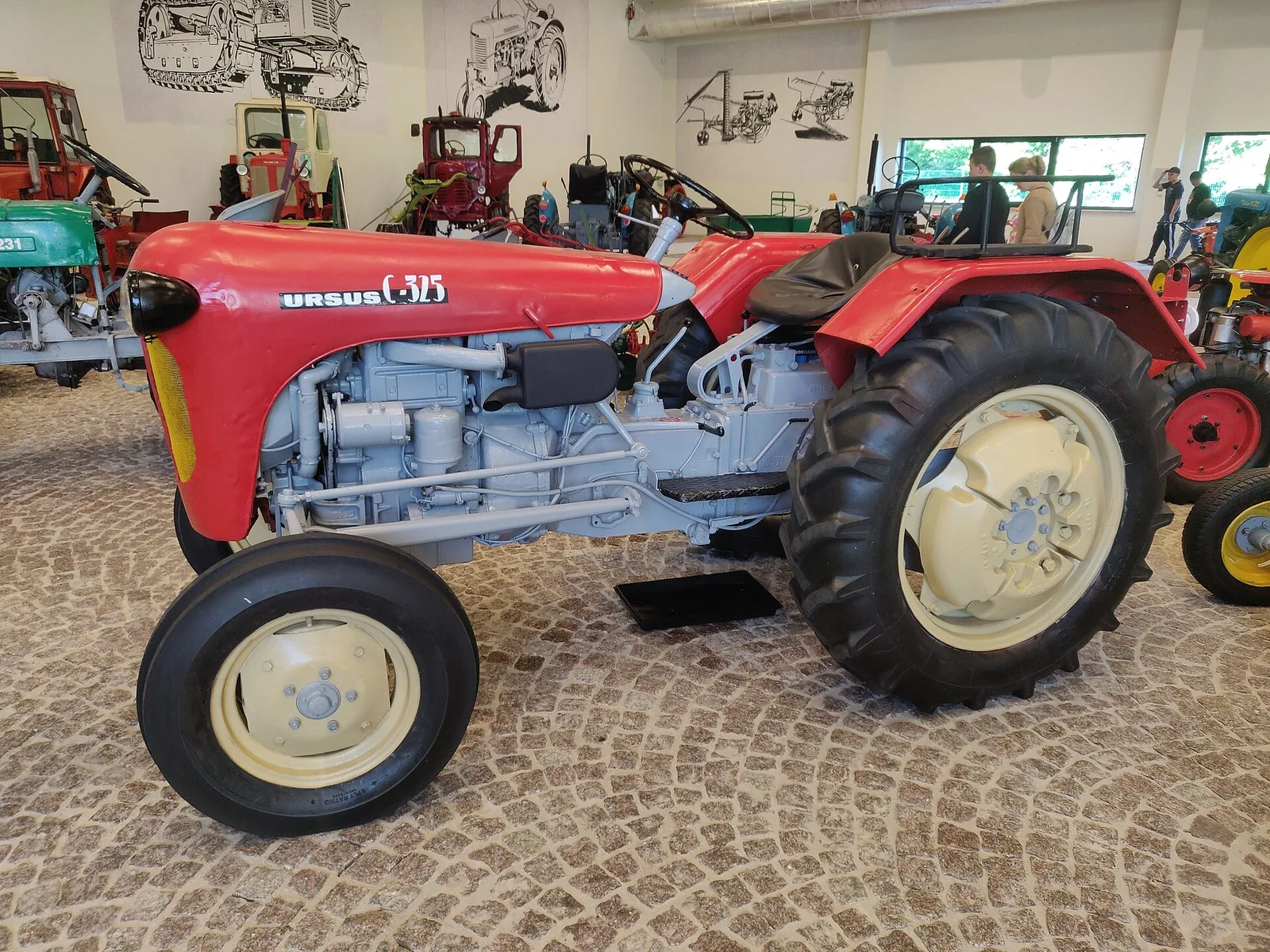 Ursus C-325 z 1962 roku z Muzeum Rolnictwa im. ks. Krzysztofa Kluka w Ciechanowcu