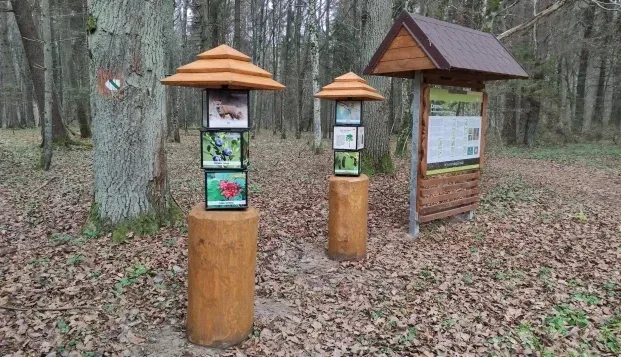 Ścieżka edukacyjna „Wydmy" na Uroczysku Grzędy