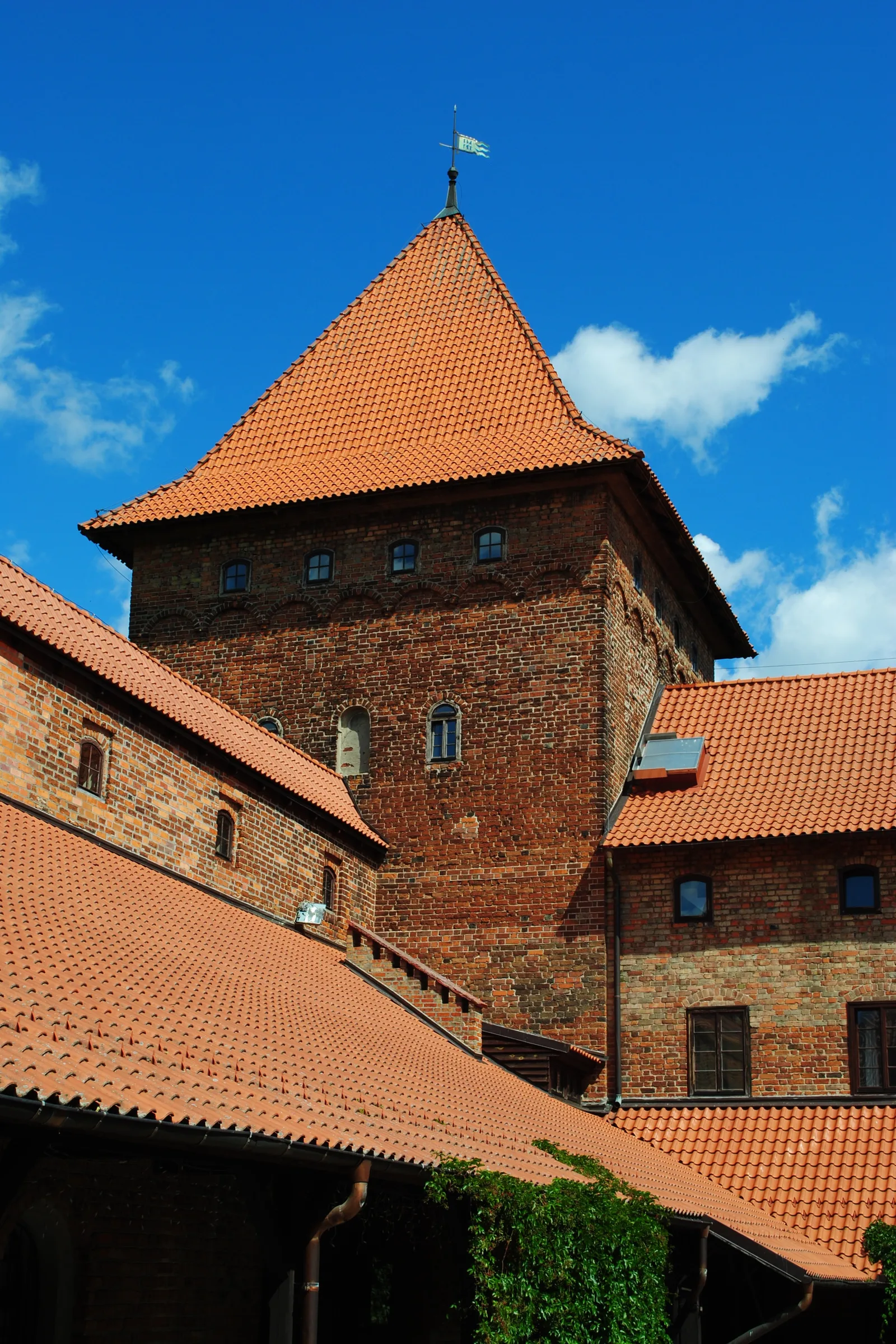 Nidzica, Zamek w Nidzicy