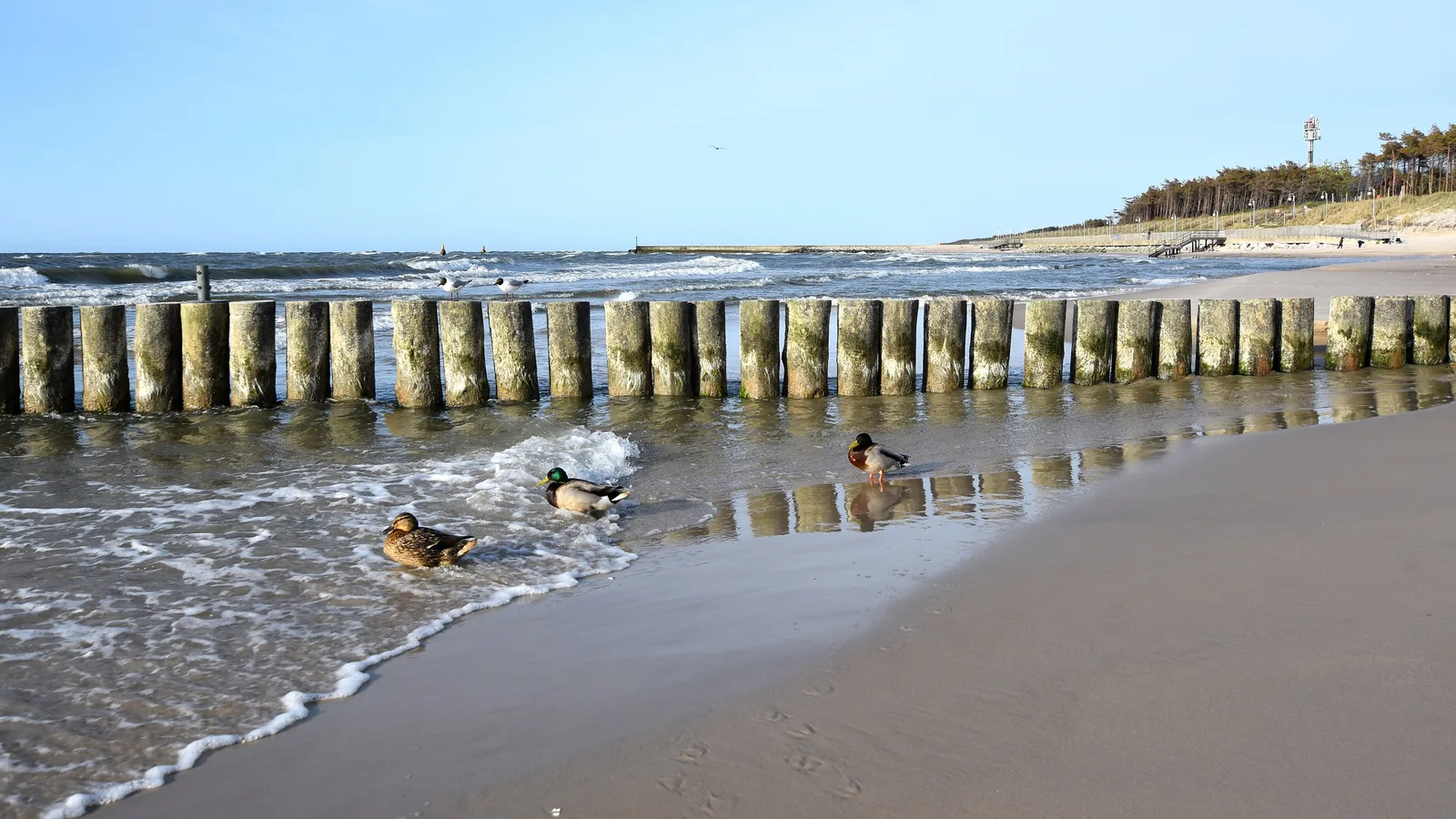 Rowy, plaża